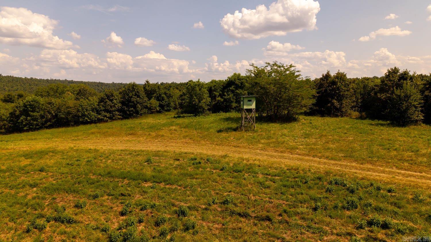 Tbd County Road 443 Property Photo 44