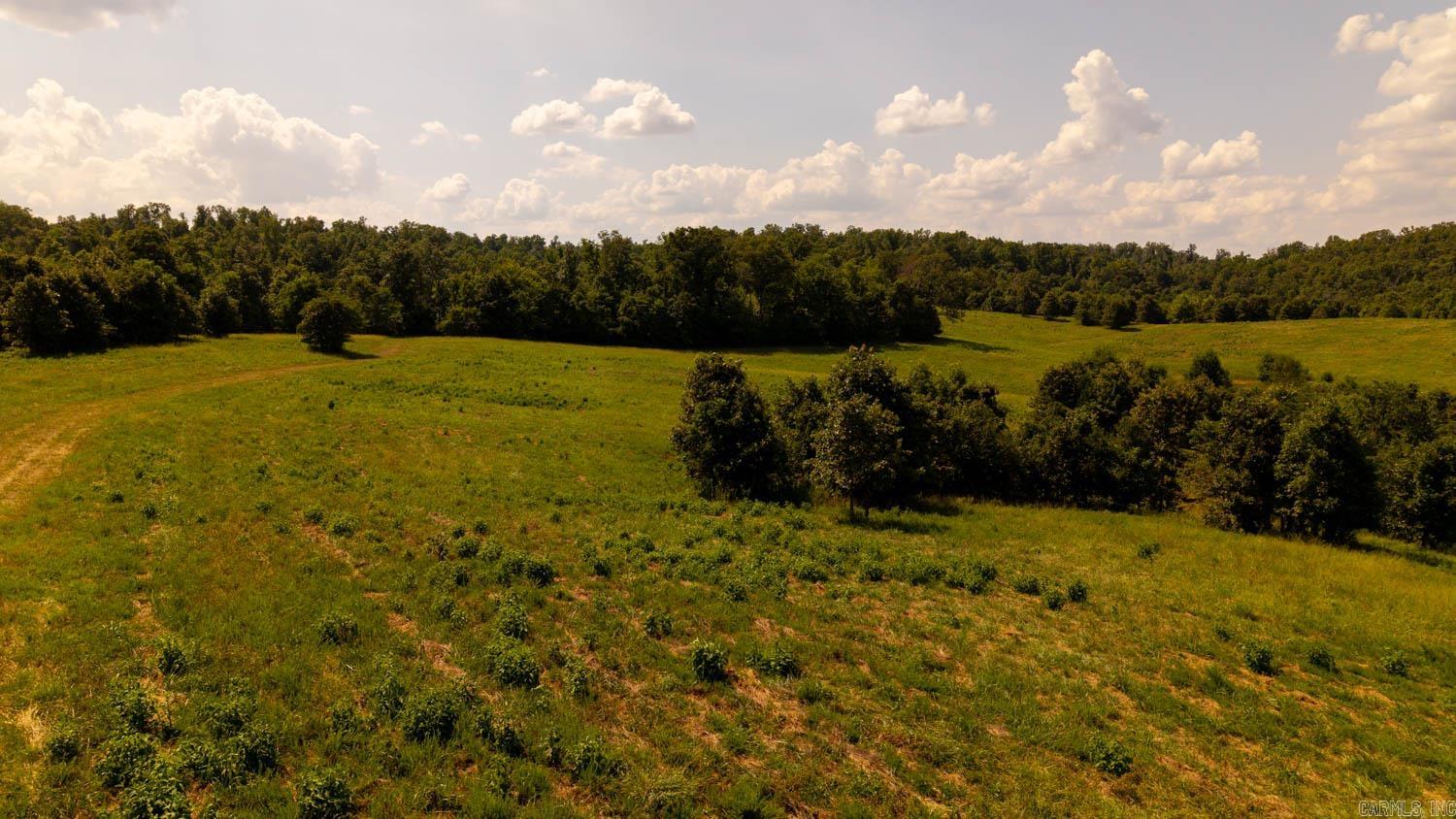 Tbd County Road 443 Property Photo 45