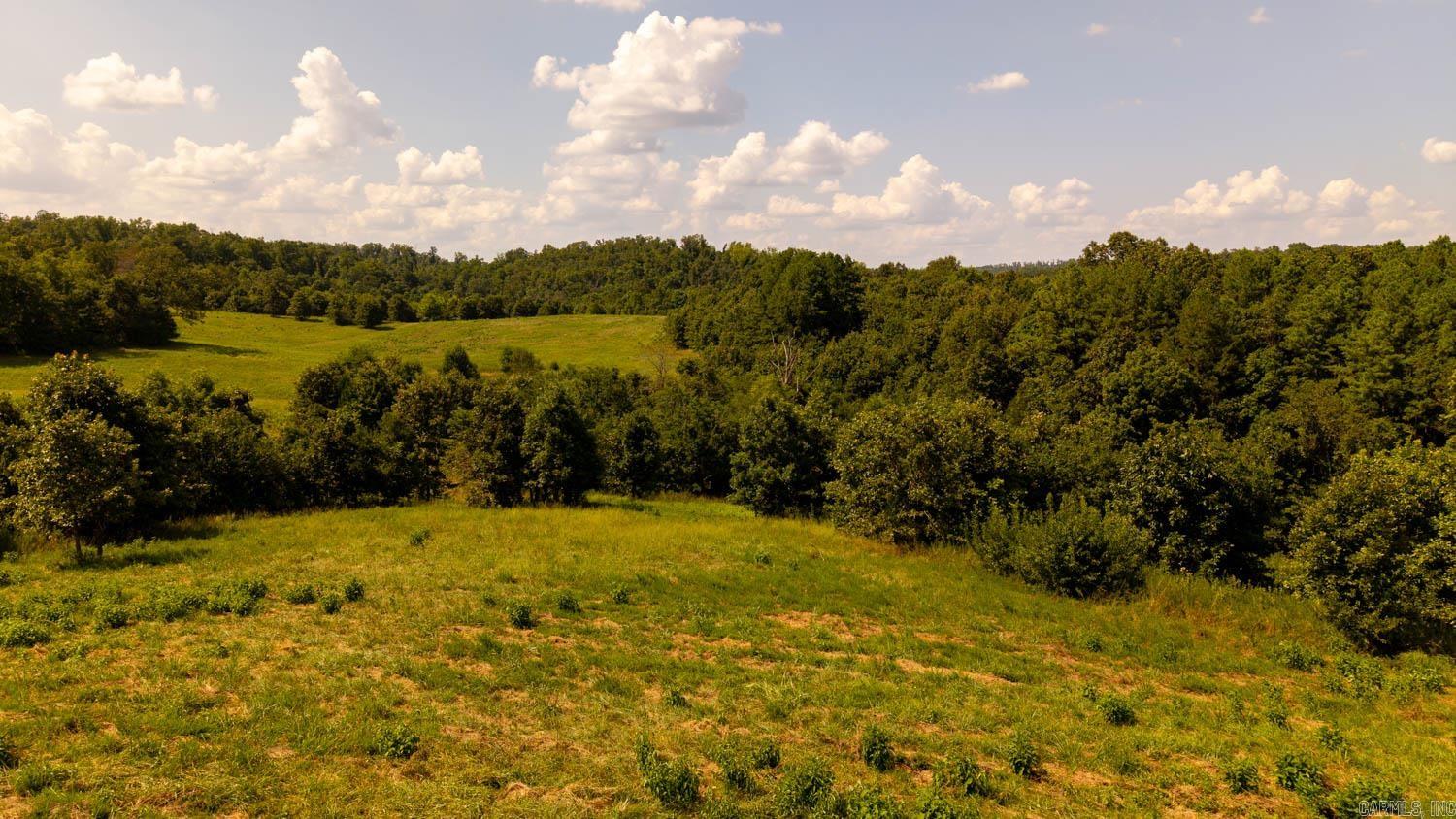 Tbd County Road 443 Property Photo 46