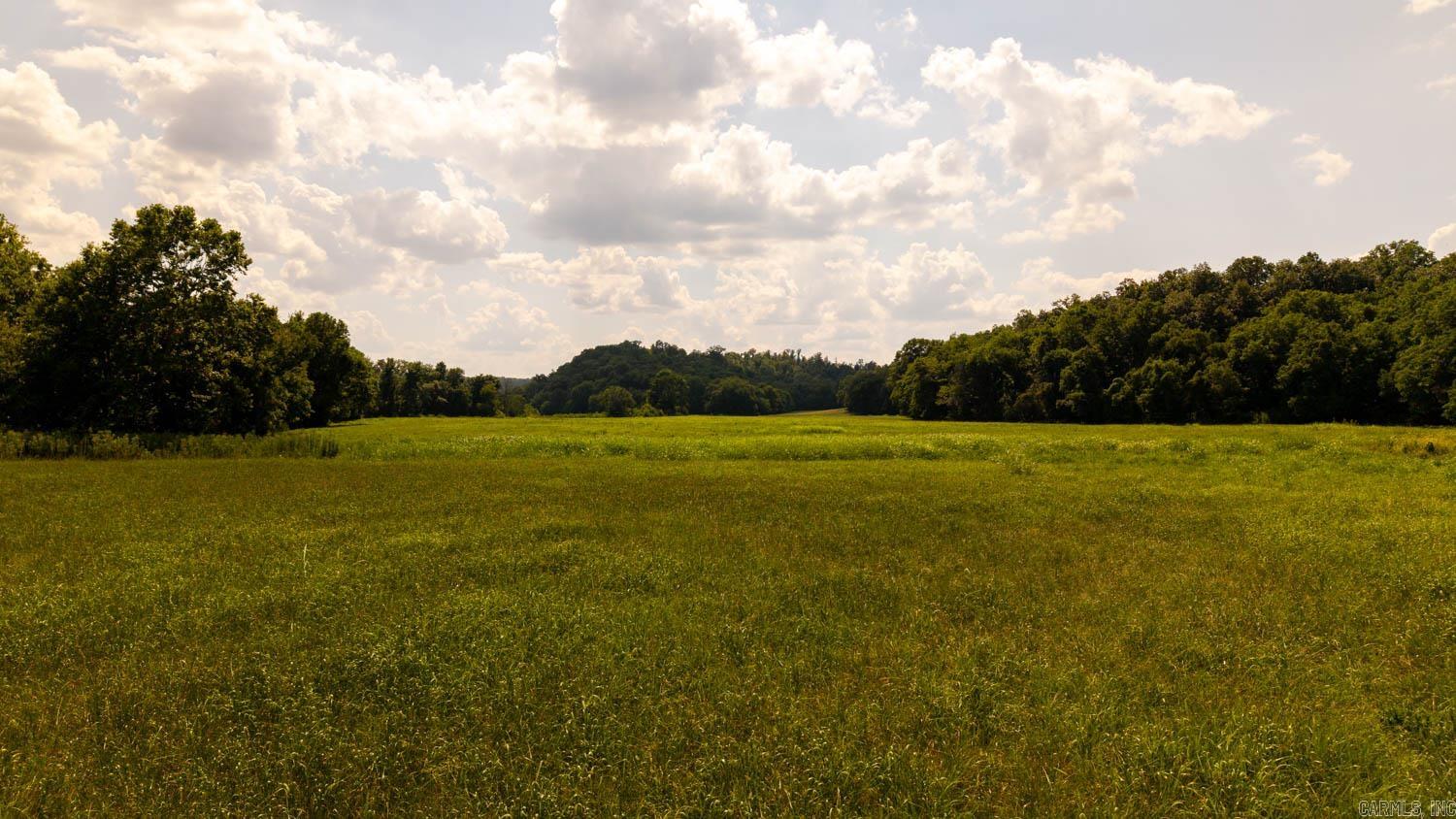 Tbd County Road 443 Property Photo 49