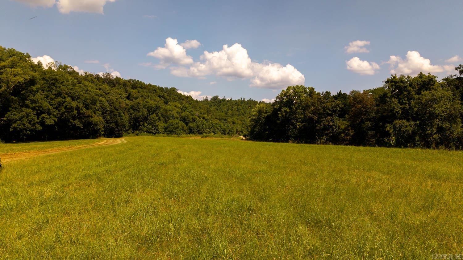 Tbd County Road 443 Property Photo 50