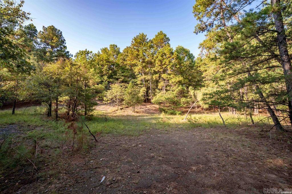 Tbd Ridgeway Street Property Photo 9