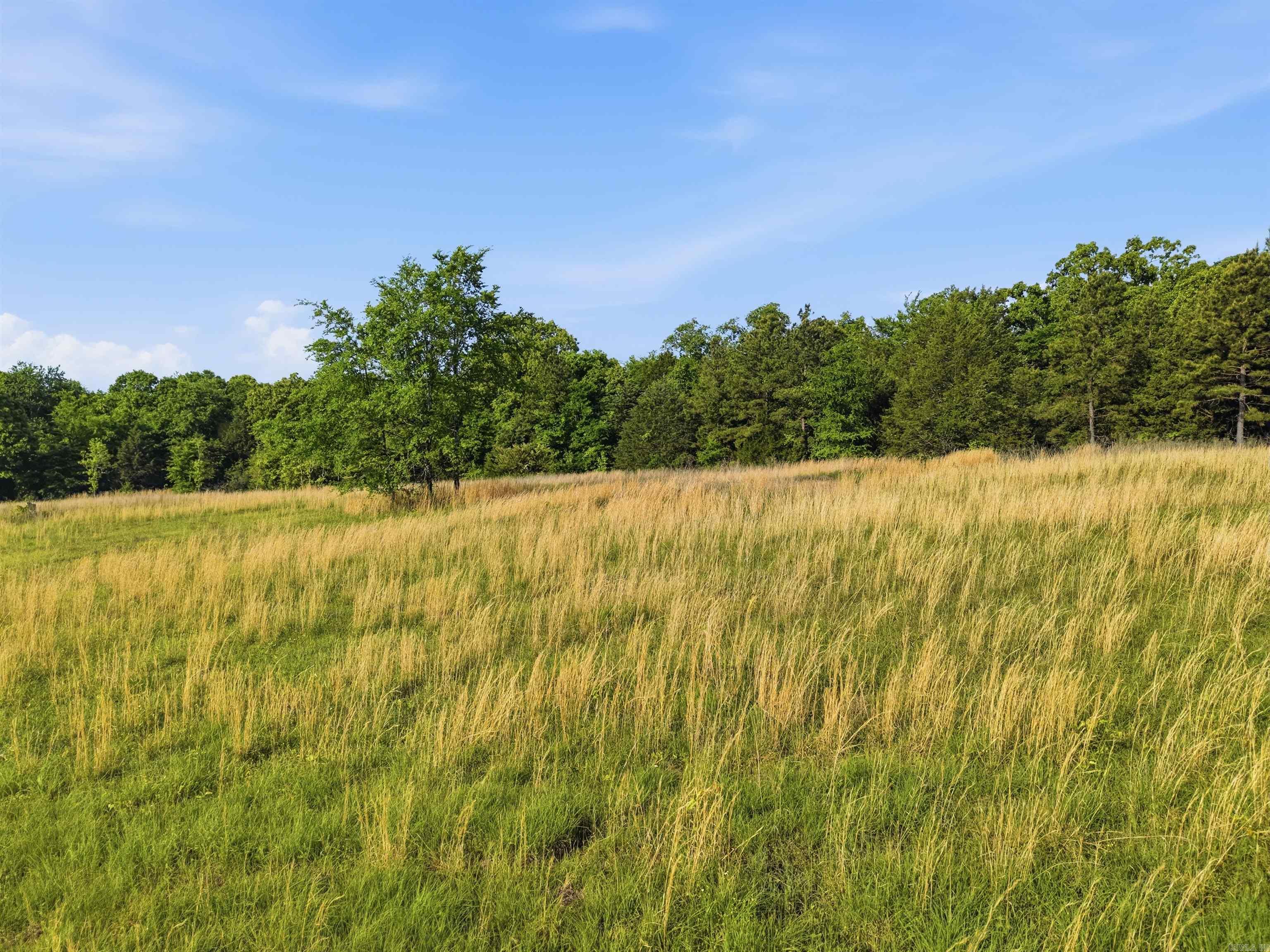 Tbd Highway 65 Property Photo 21