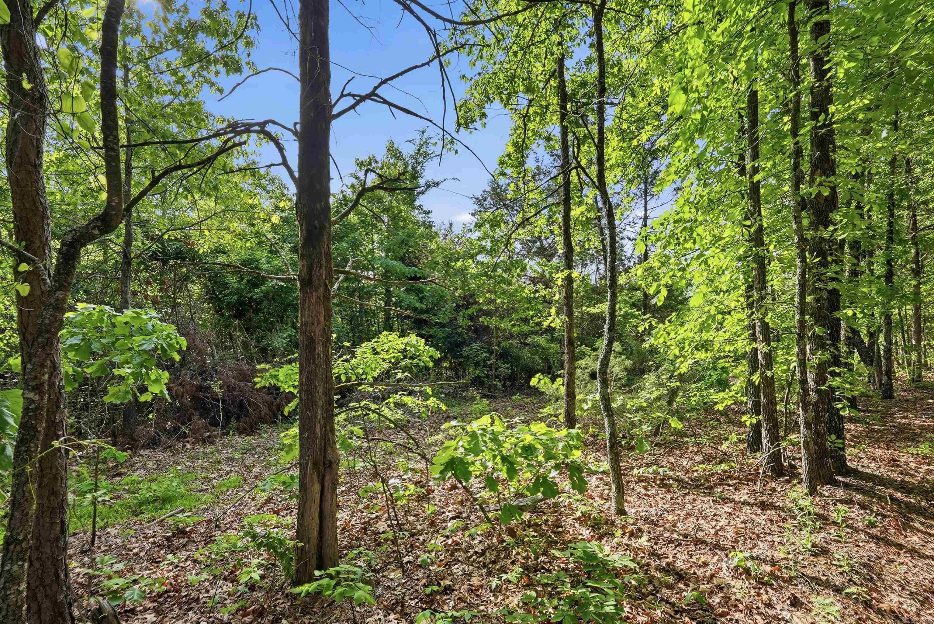 Tbd Highway 65 Property Photo 41
