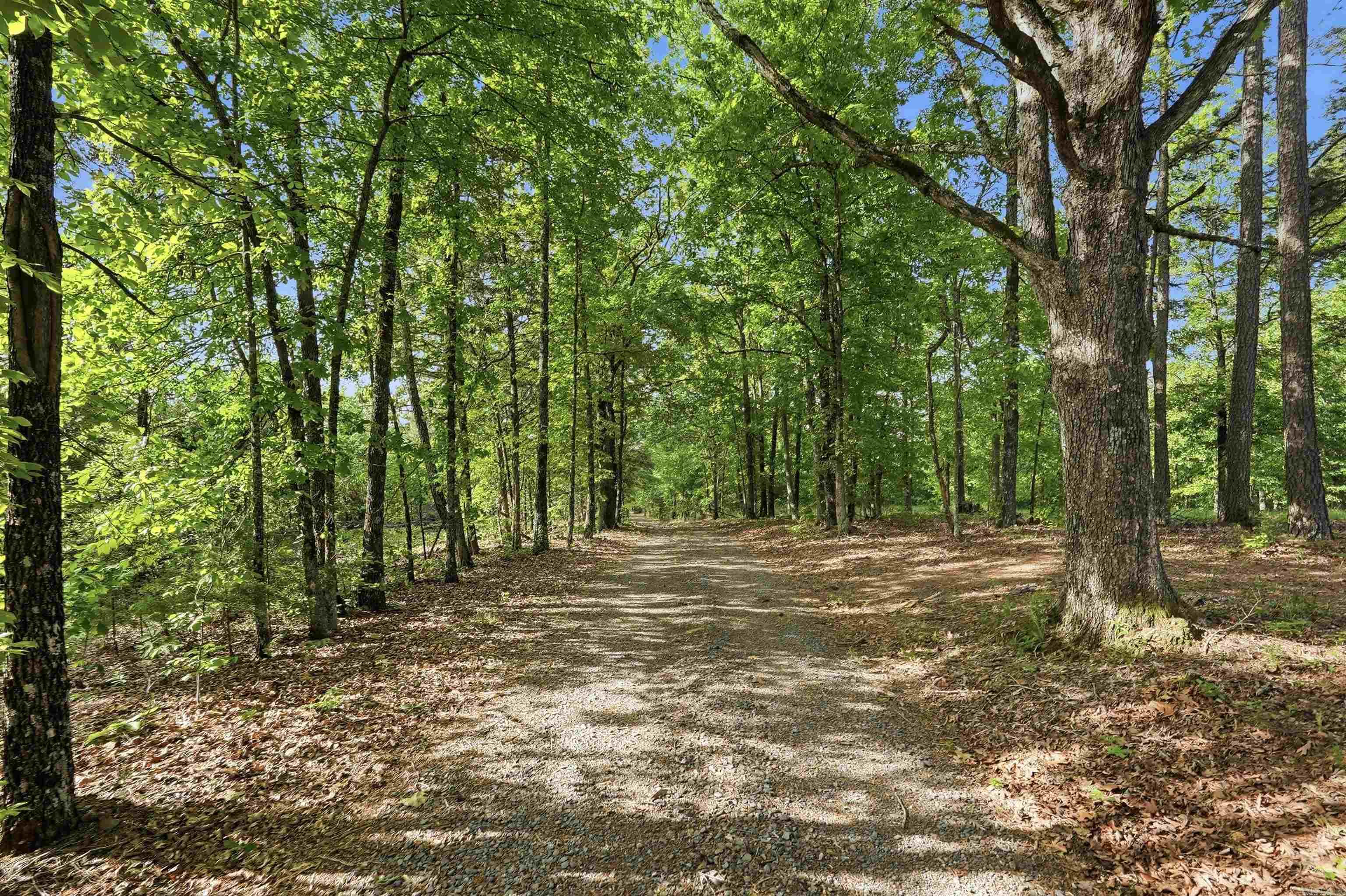 Tbd Highway 65 Property Photo 42