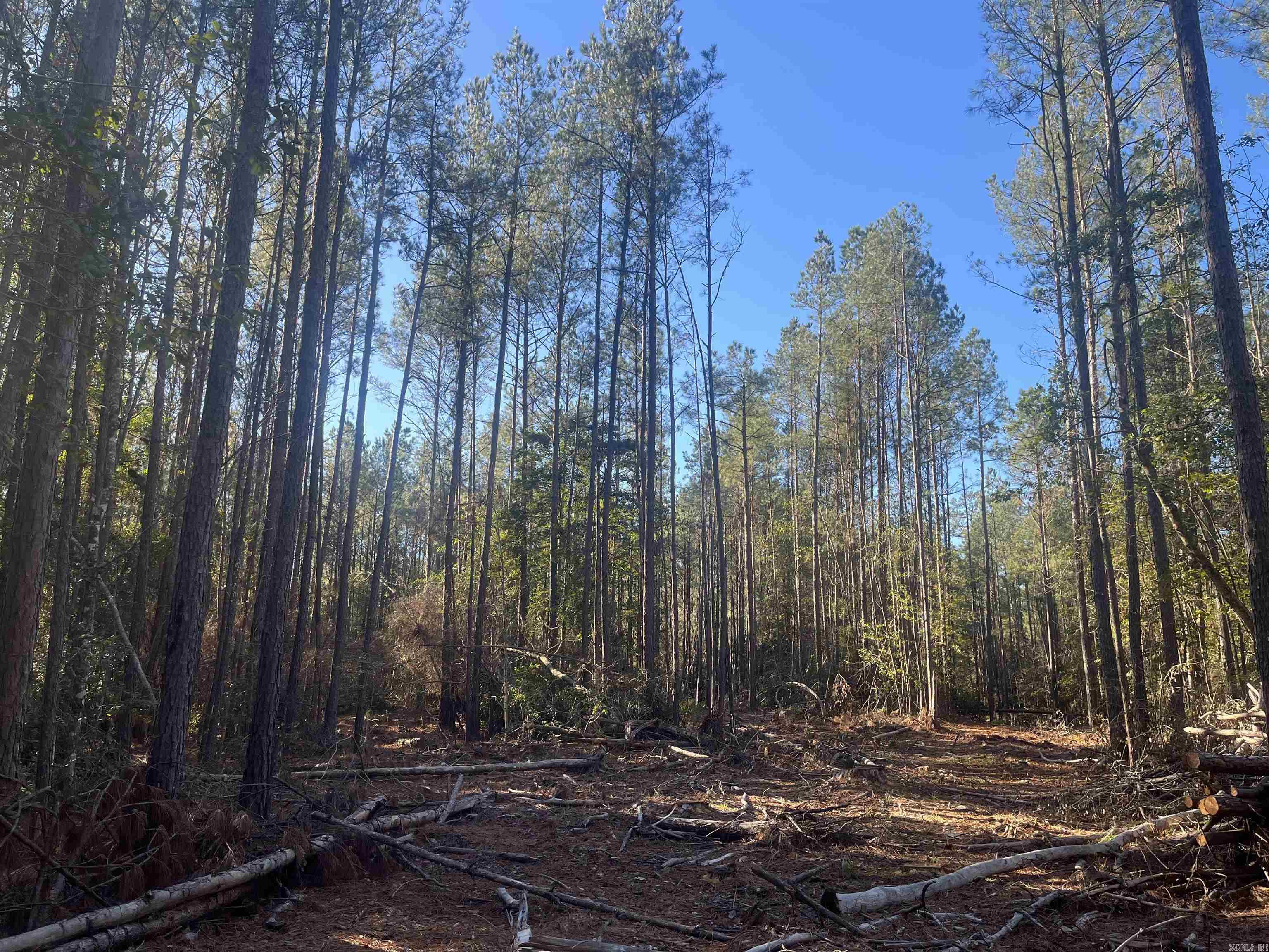 23-19-16 Junction City Tram Property Photo 3