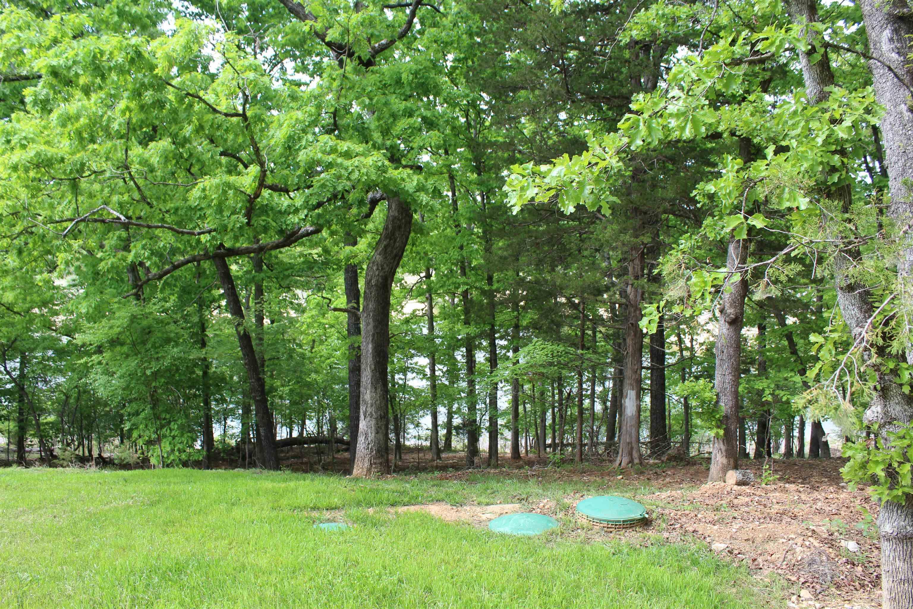 170 Blue Lake Drive Property Photo 7