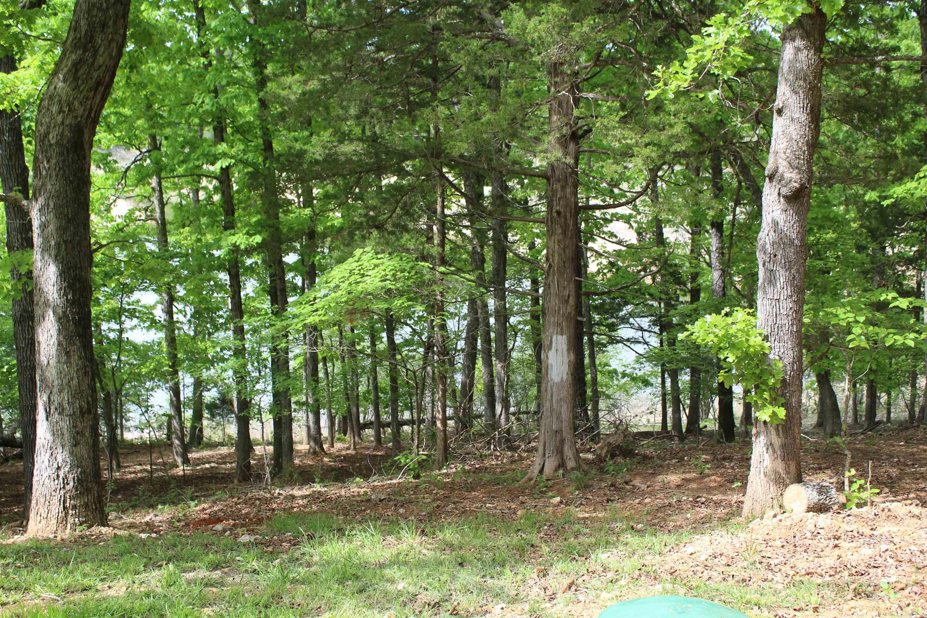 170 Blue Lake Drive Property Photo 8