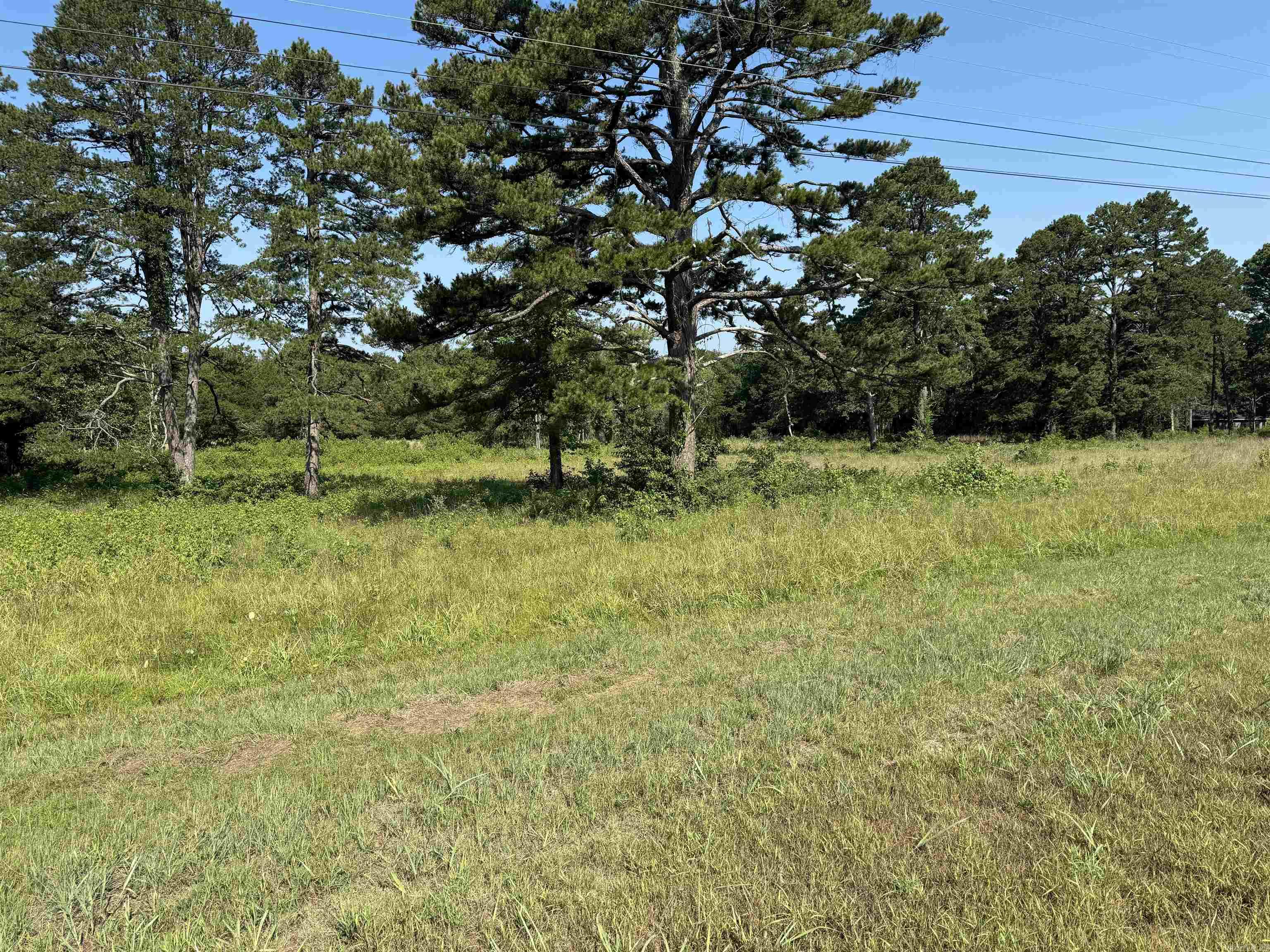 6.86 Acres Edgemont Road Property Photo 1