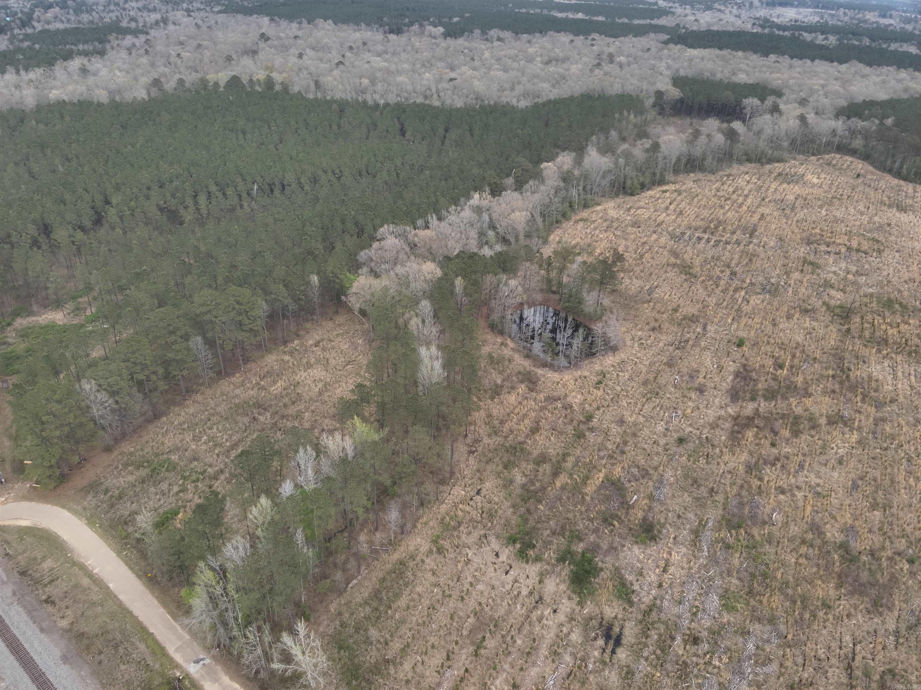 1 Ouachita Cr 101 Property Photo 2