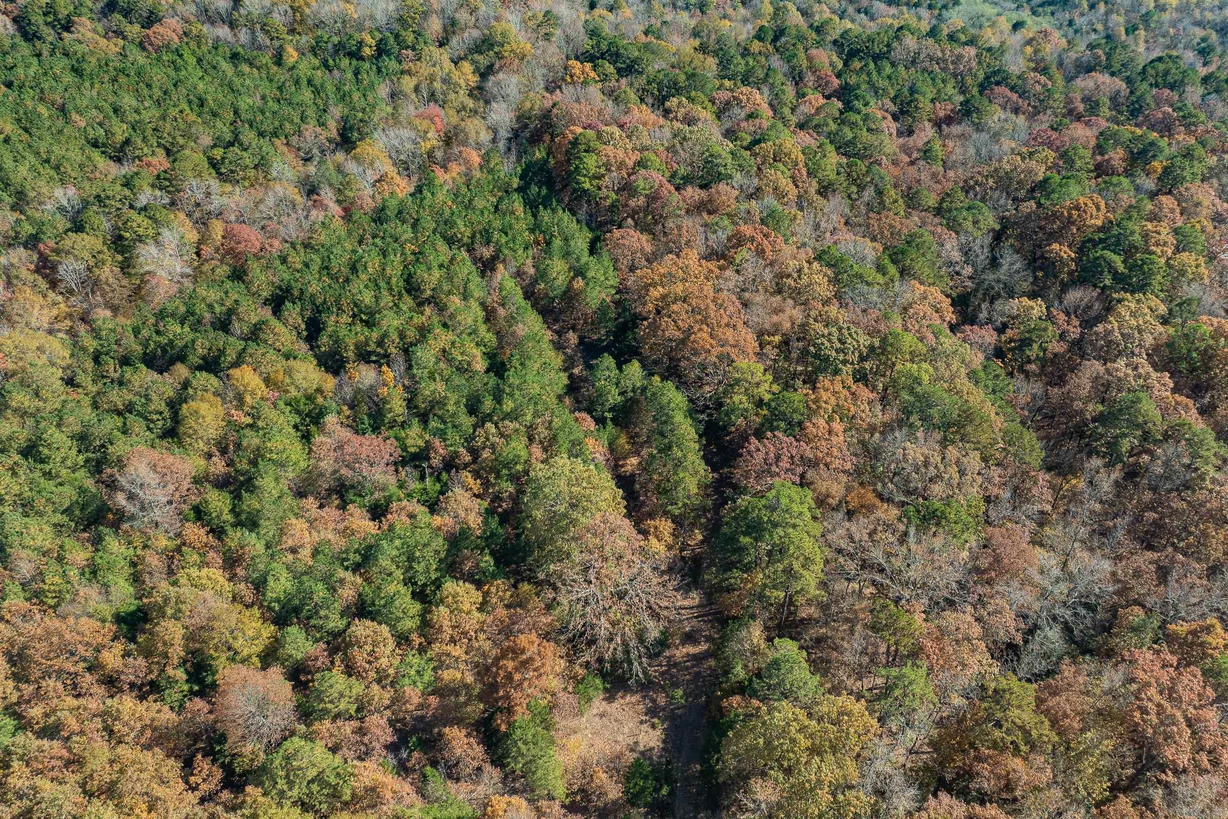 Tbd Sims Road Property Photo 13