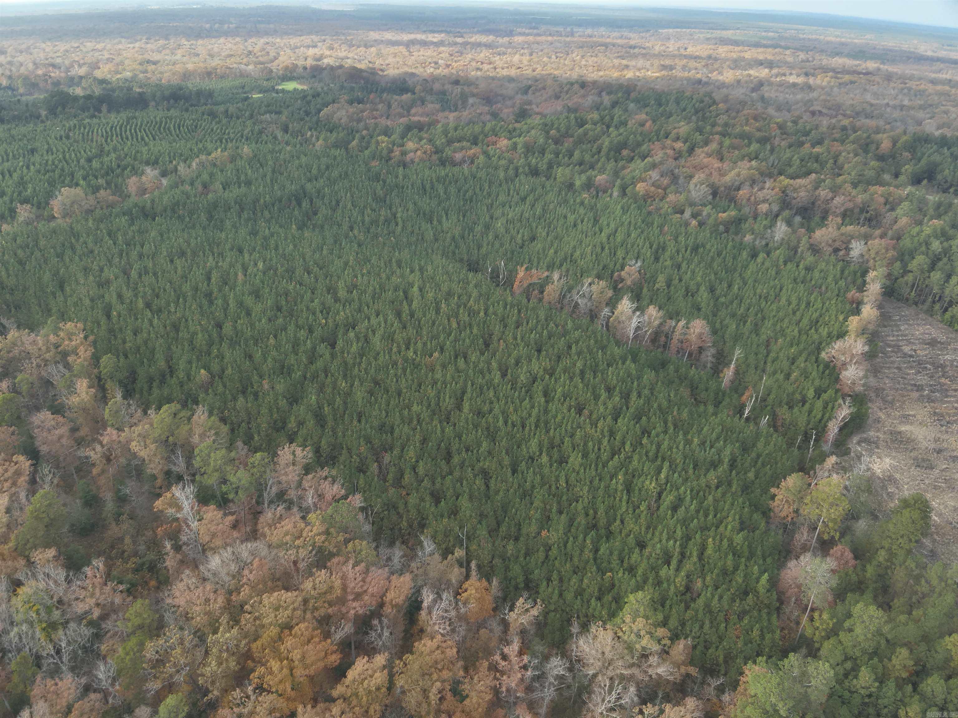 24-11-19 Ouachita Cr 75 Property Photo 2