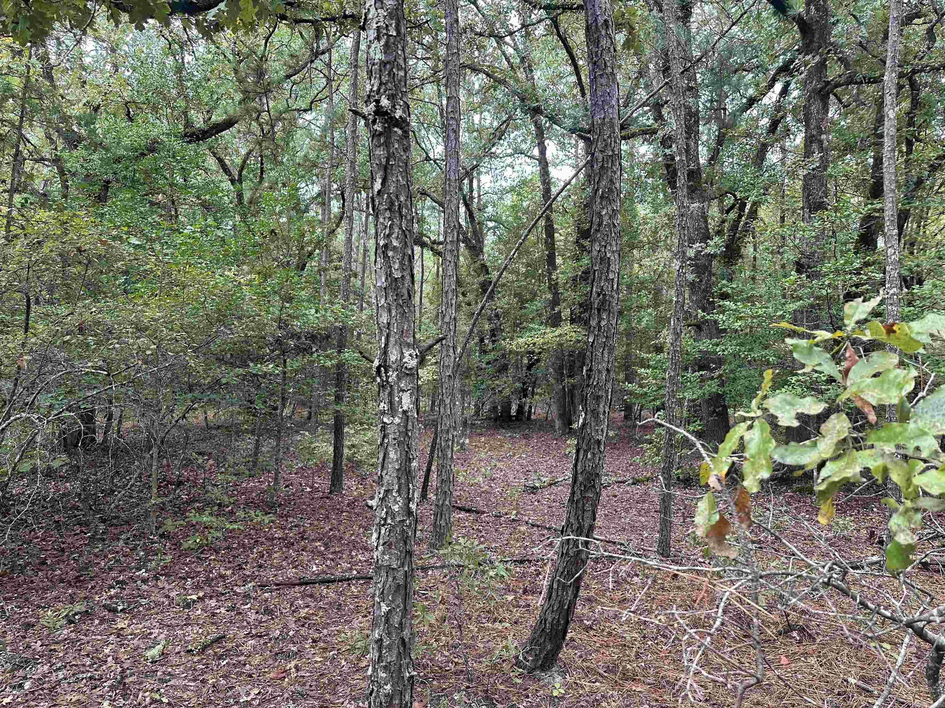 24-11-19 Ouachita Cr 75 Property Photo 3