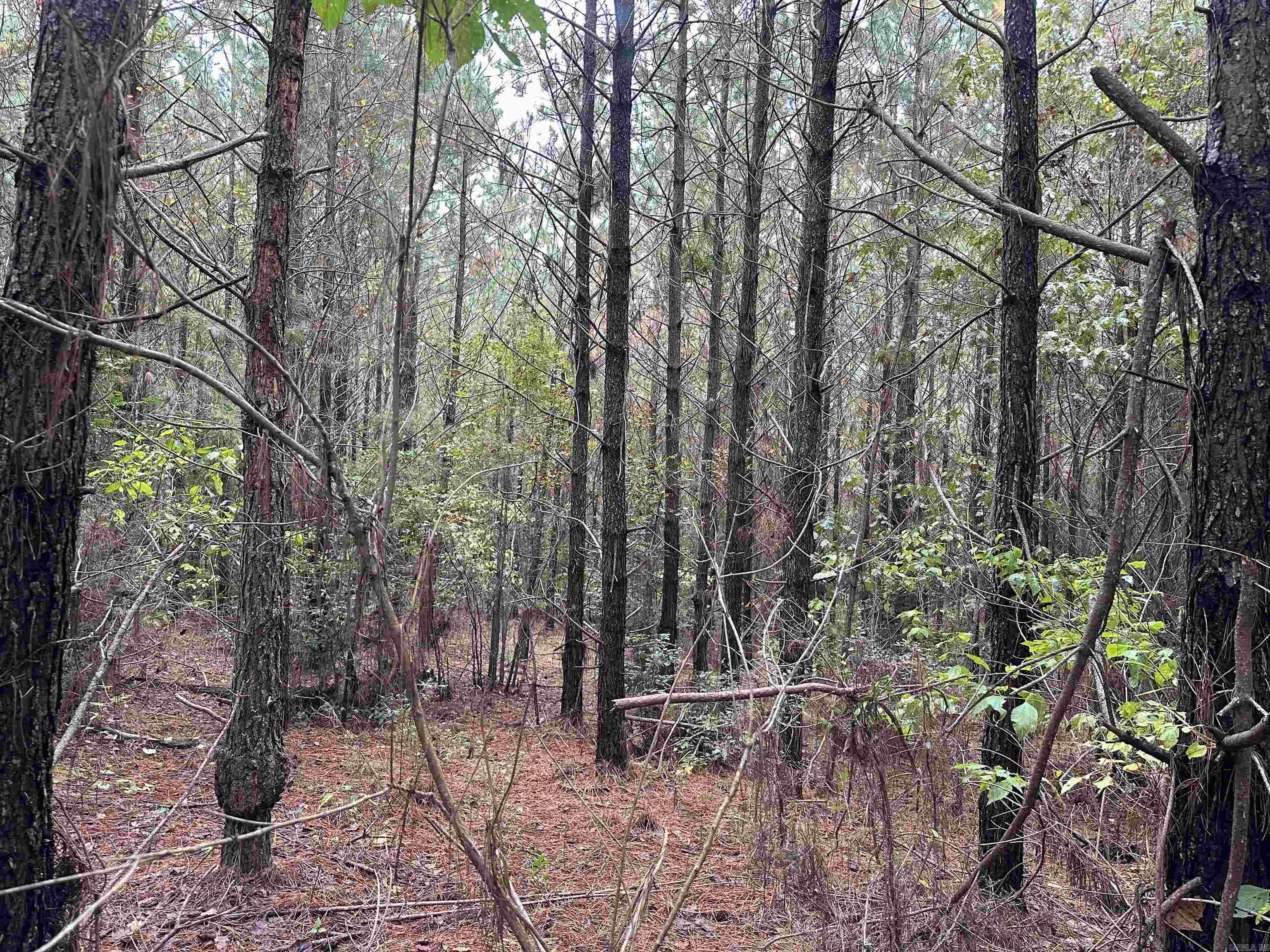24-11-19 Ouachita Cr 75 Property Photo 4