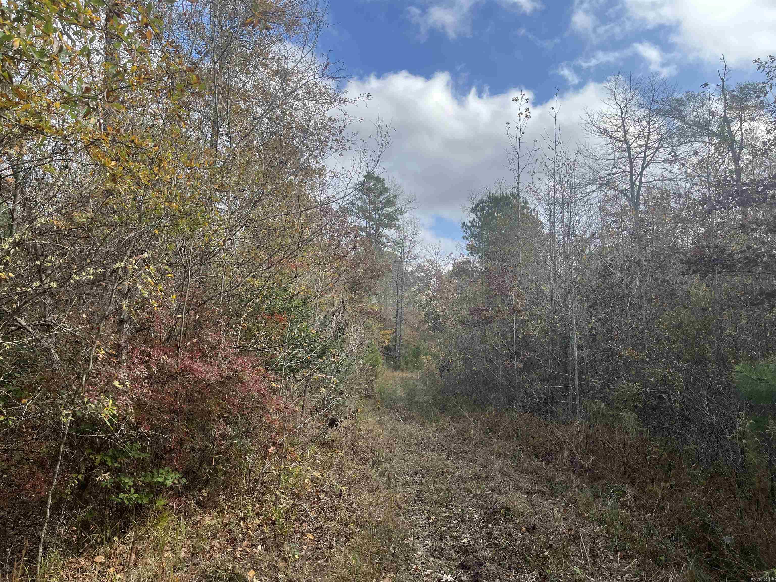 9-19-18 Salem Cemetery Rd Property Photo 2