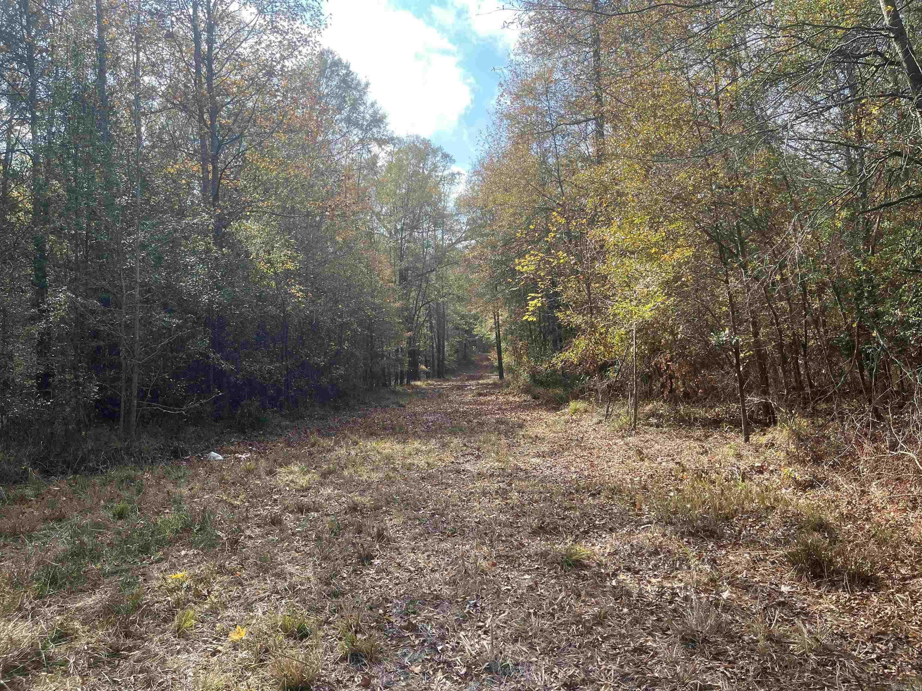 9-19-18 Salem Cemetery Rd Property Photo 3