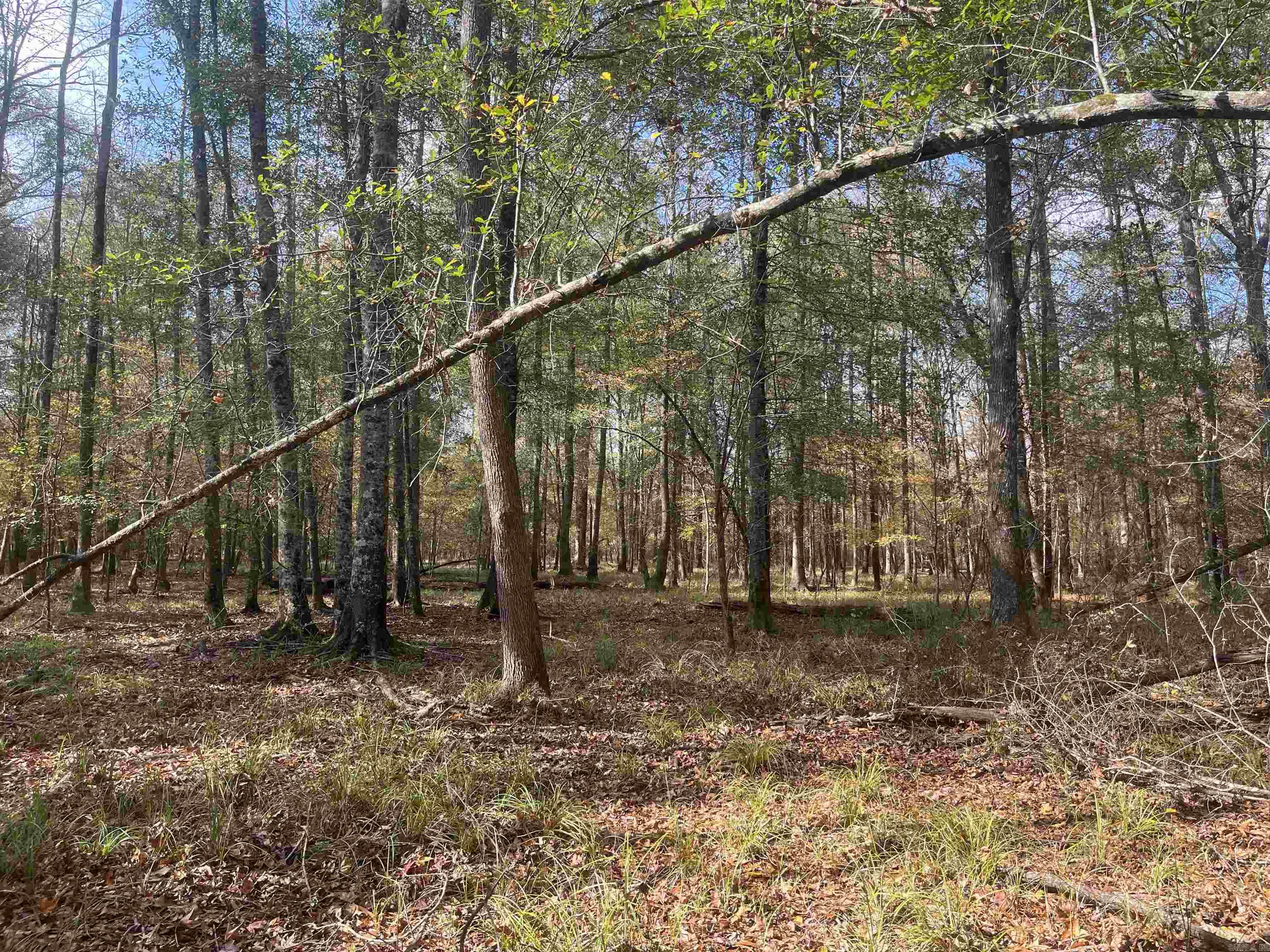 9-19-18 Salem Cemetery Rd Property Photo 4