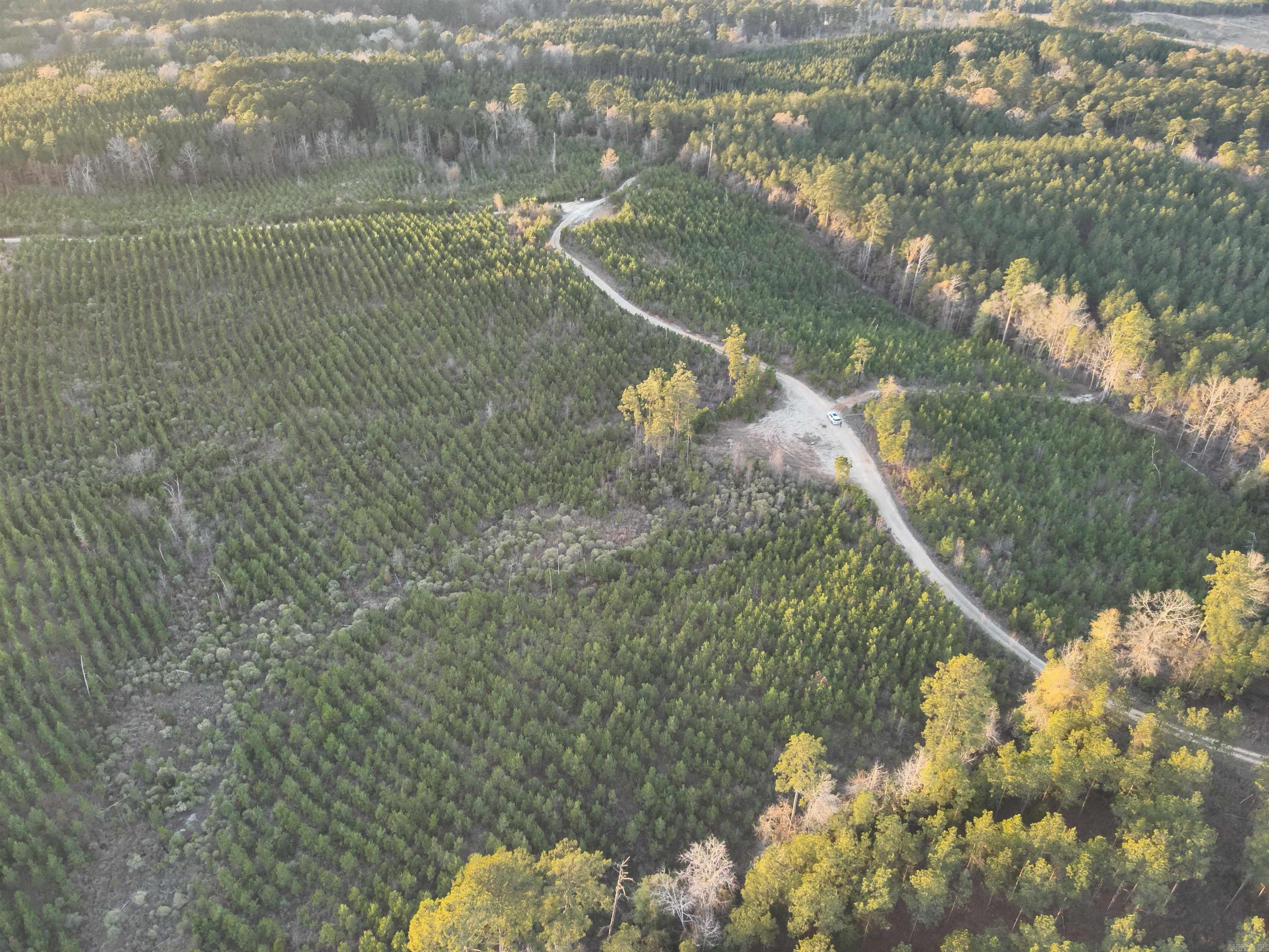 8-17-13 Cypress Creek Field Rd Property Photo 5