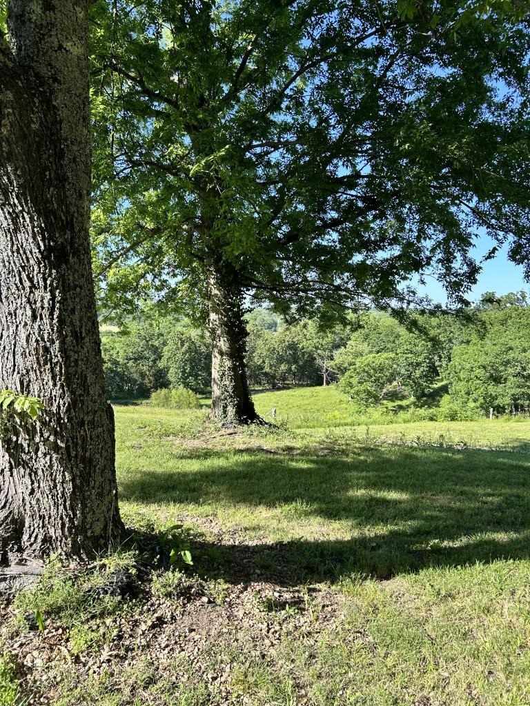 17416 Hwy 9 S Property Photo 17