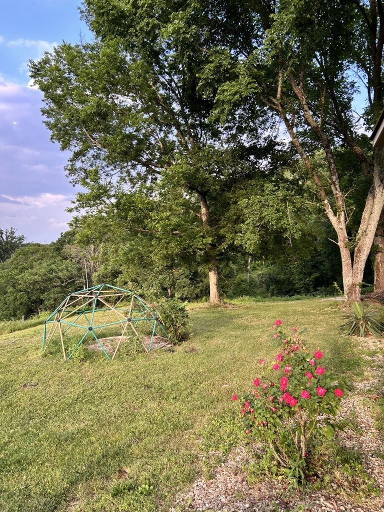 17416 Hwy 9 S Property Photo 33