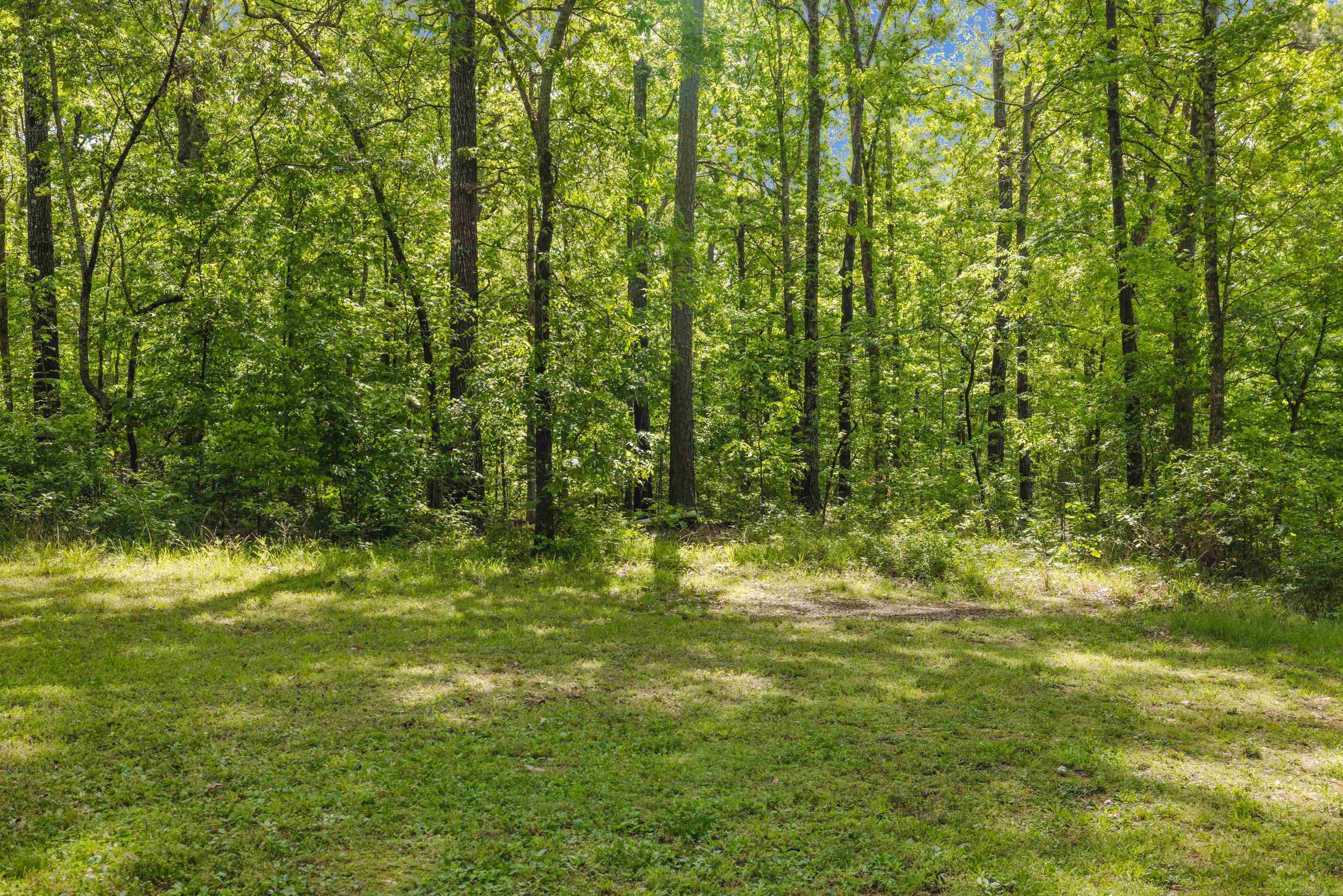10676 Hinds Rd Property Photo 37