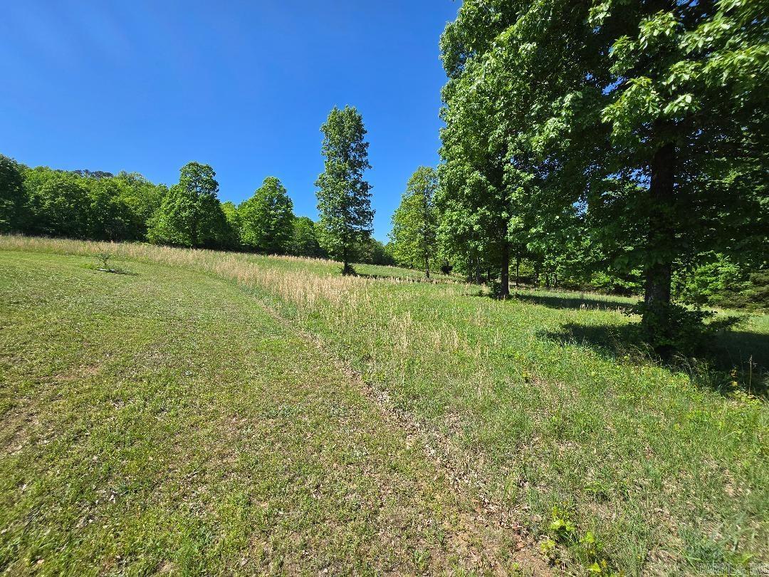 975 Wagon Wheel Road Property Photo 45