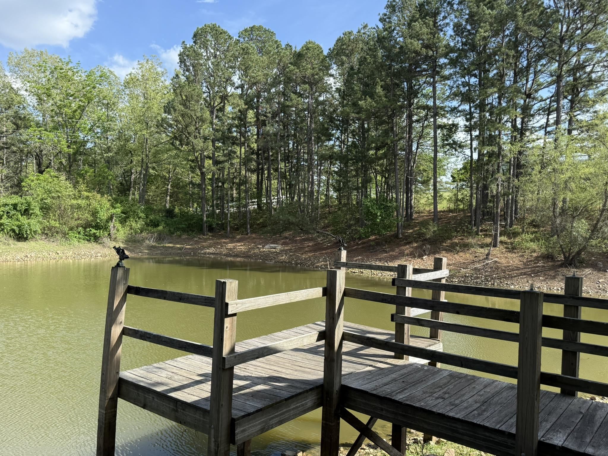 378 Yancey Road Property Photo 8
