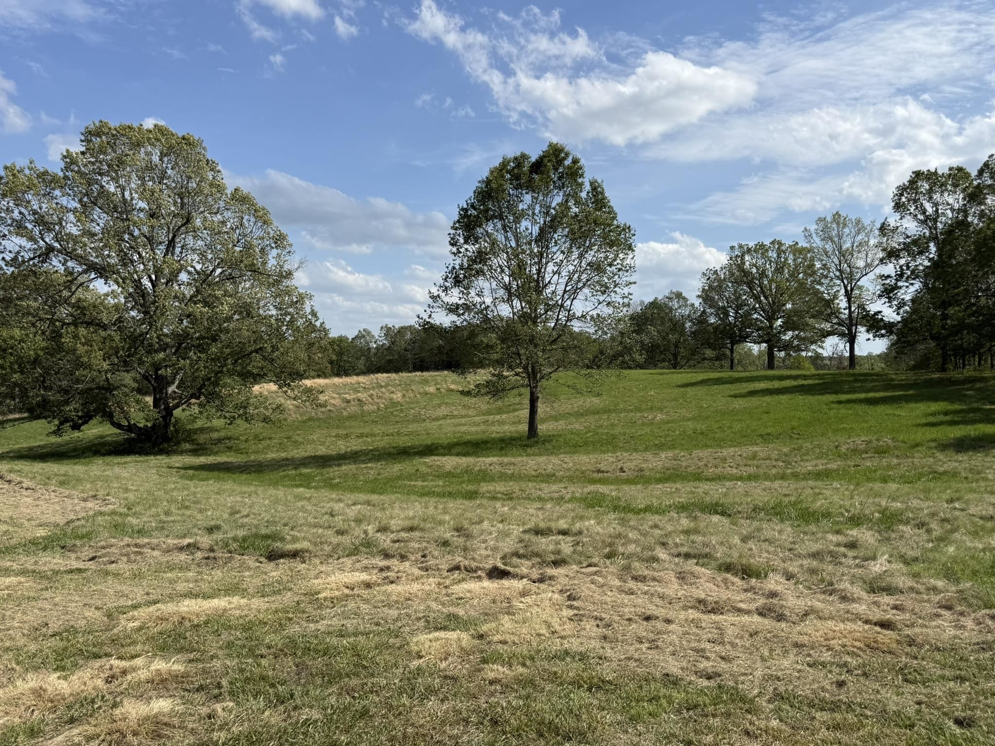 378 Yancey Road Property Photo 44