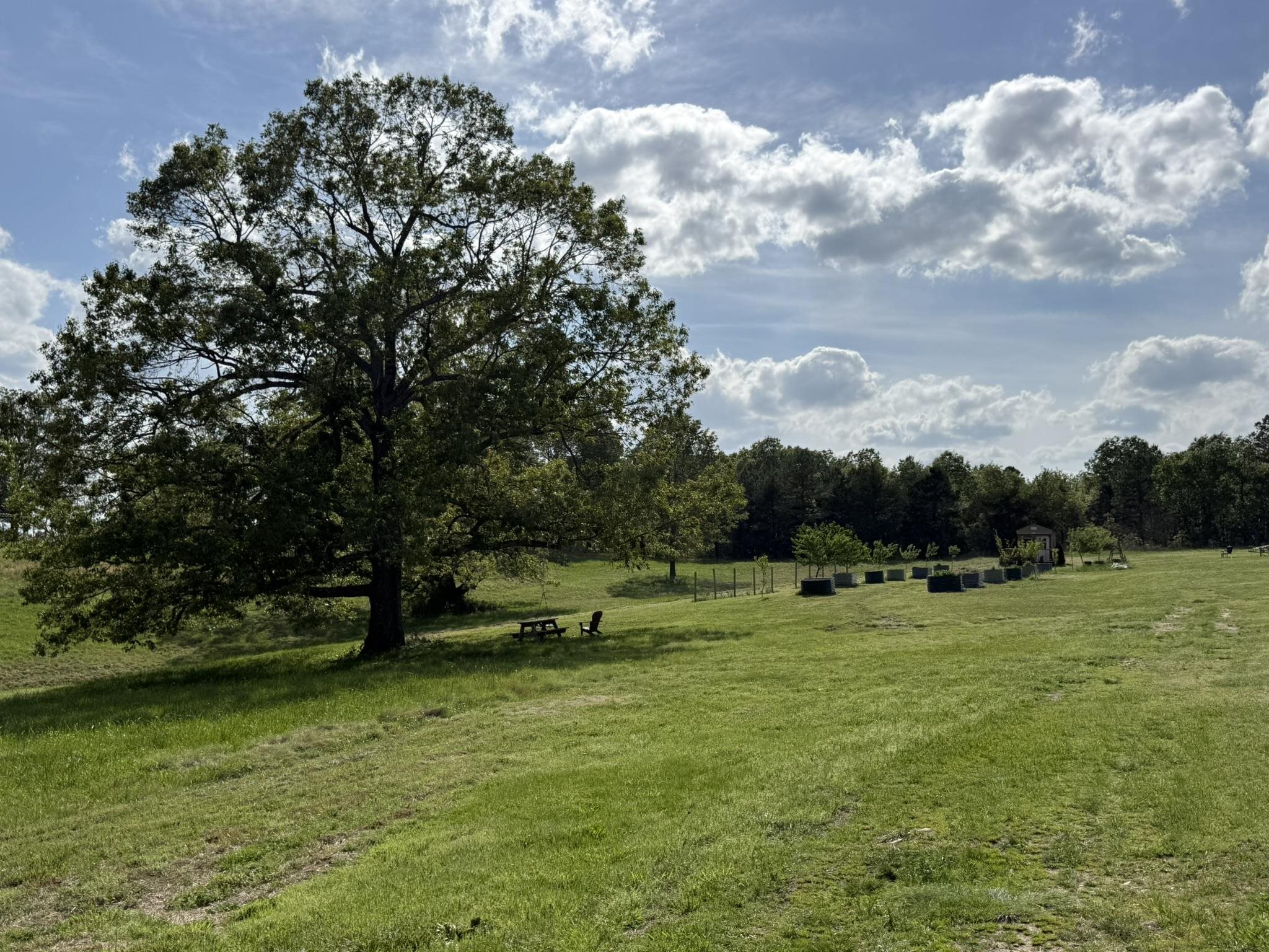 378 Yancey Road Property Photo 45