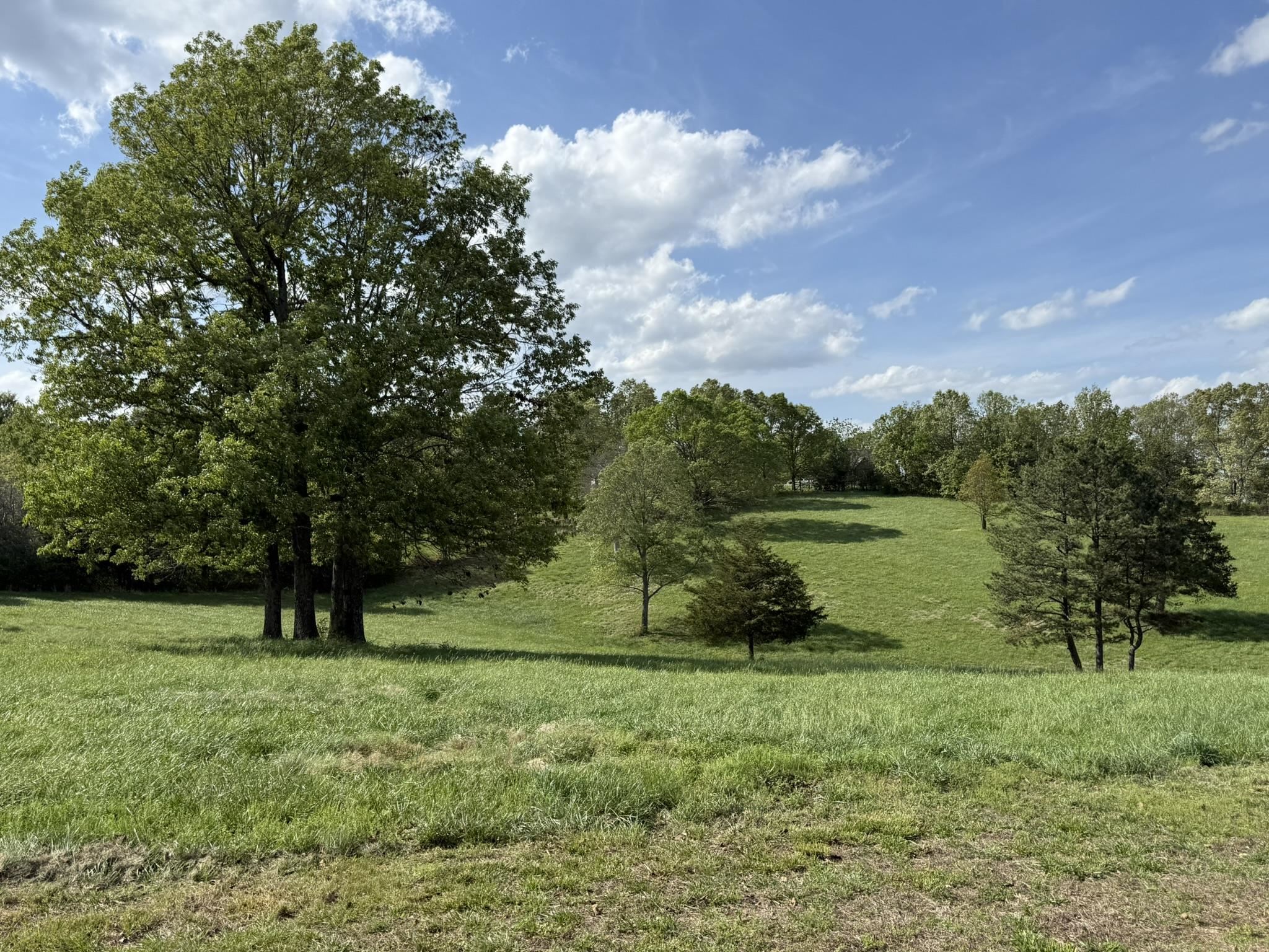 378 Yancey Road Property Photo 47