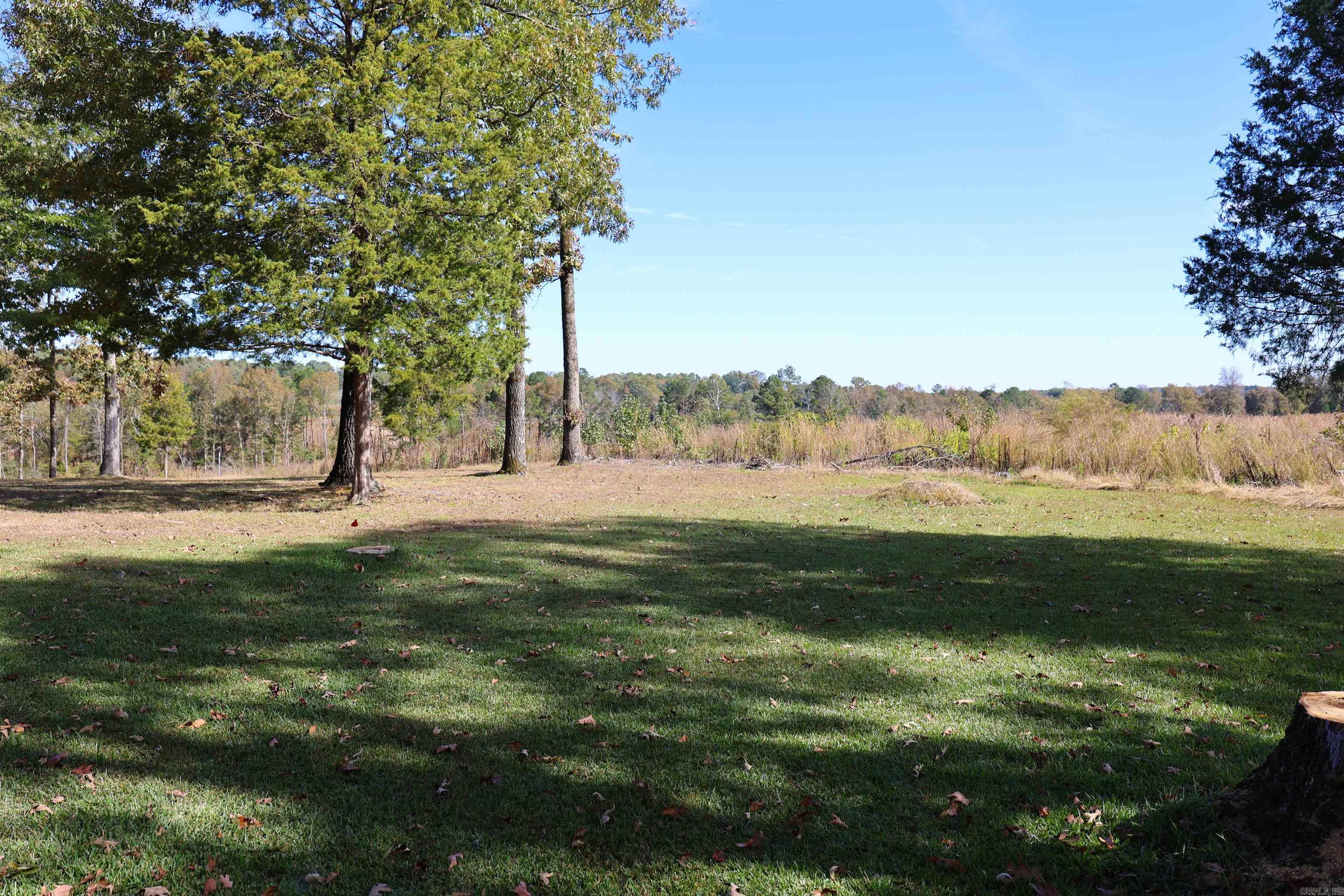125 Clinton Loop Property Photo 36