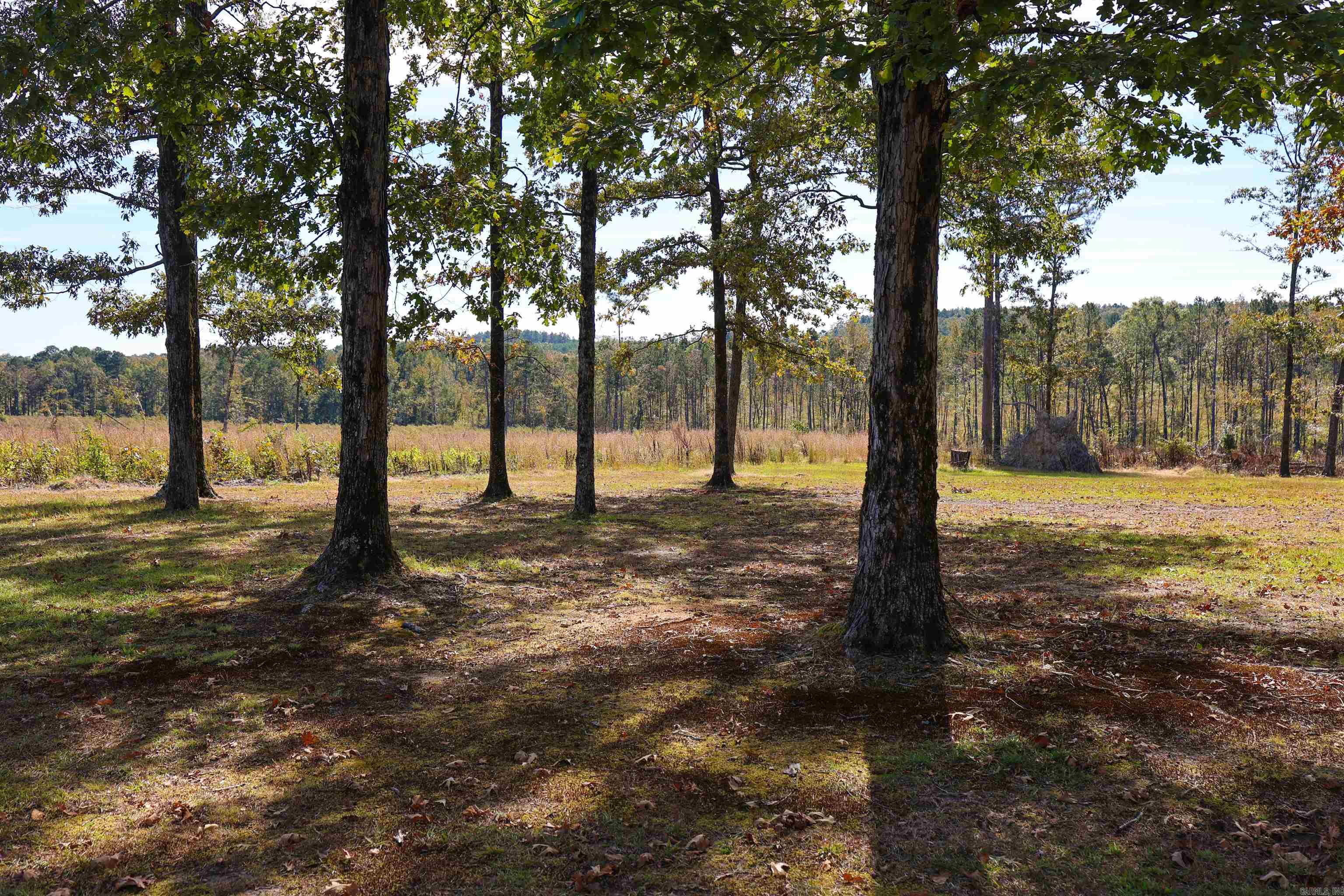 125 Clinton Loop Property Photo 38