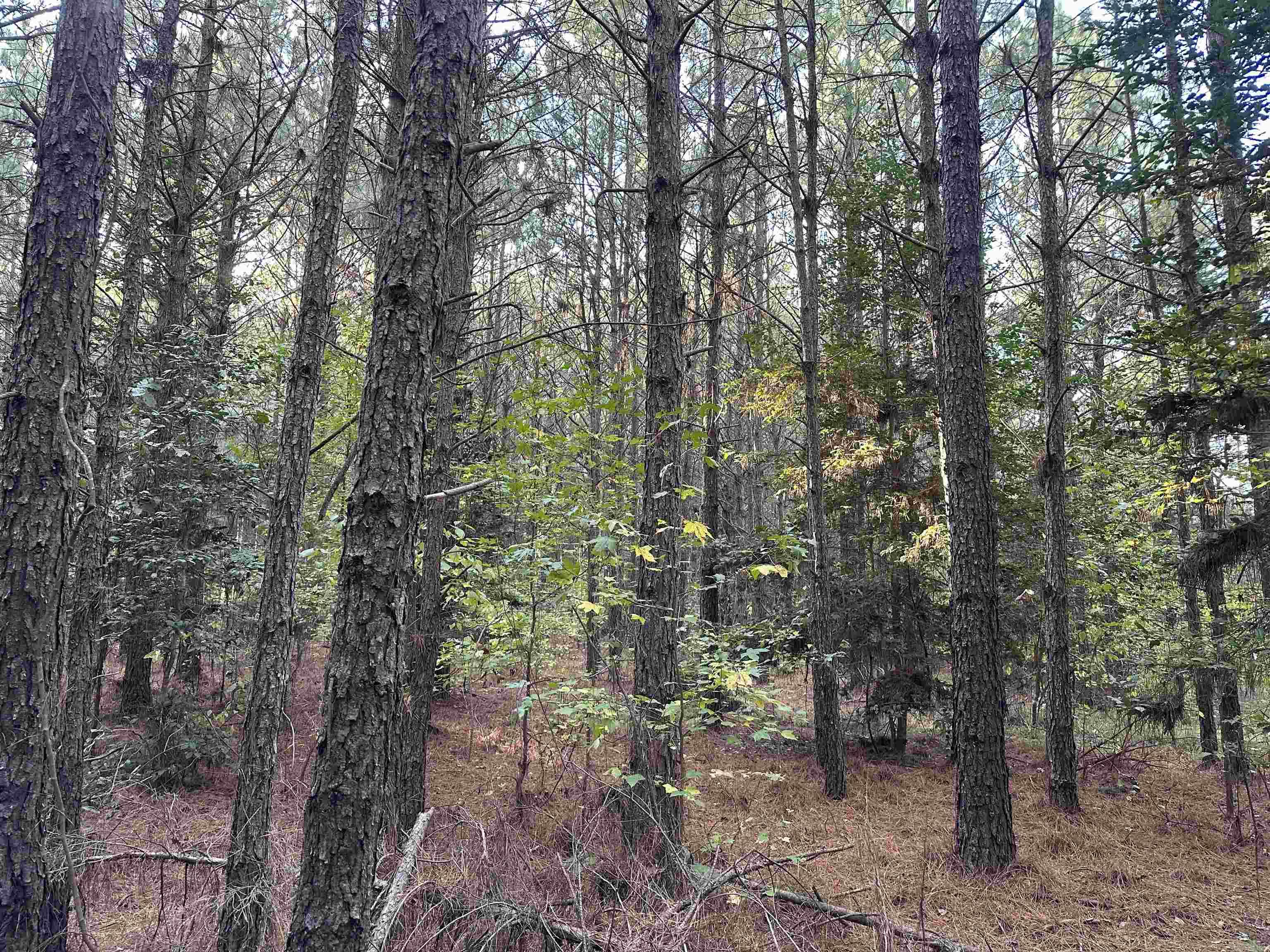28-14-22 Nevada Cr 141 Property Photo 5