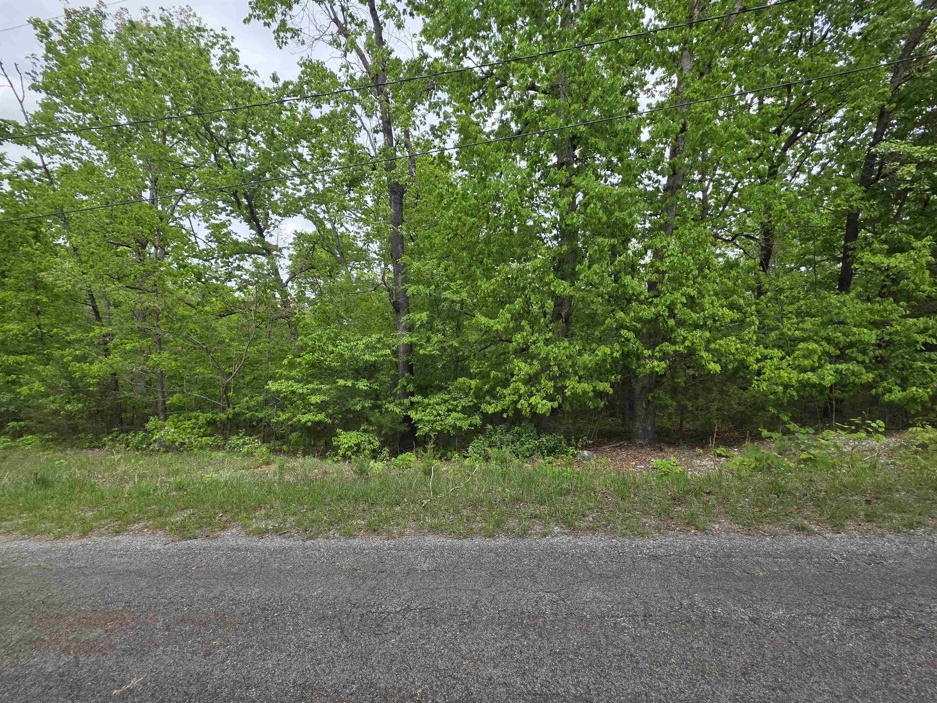 Multiple Wahoo, Wabash & Ora Trace Property Photo 7