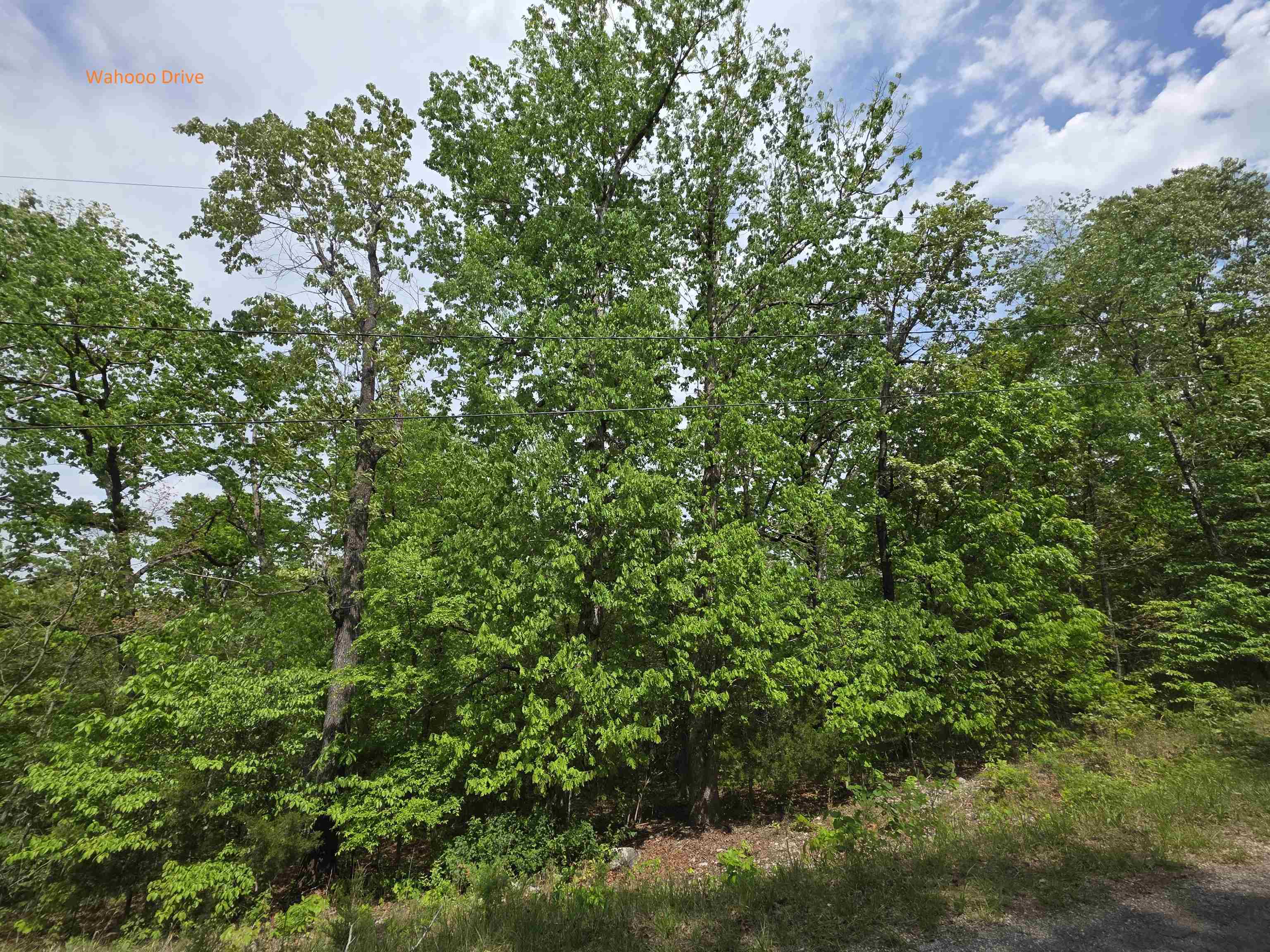 Multiple Wahoo, Wabash & Ora Trace Property Photo 10