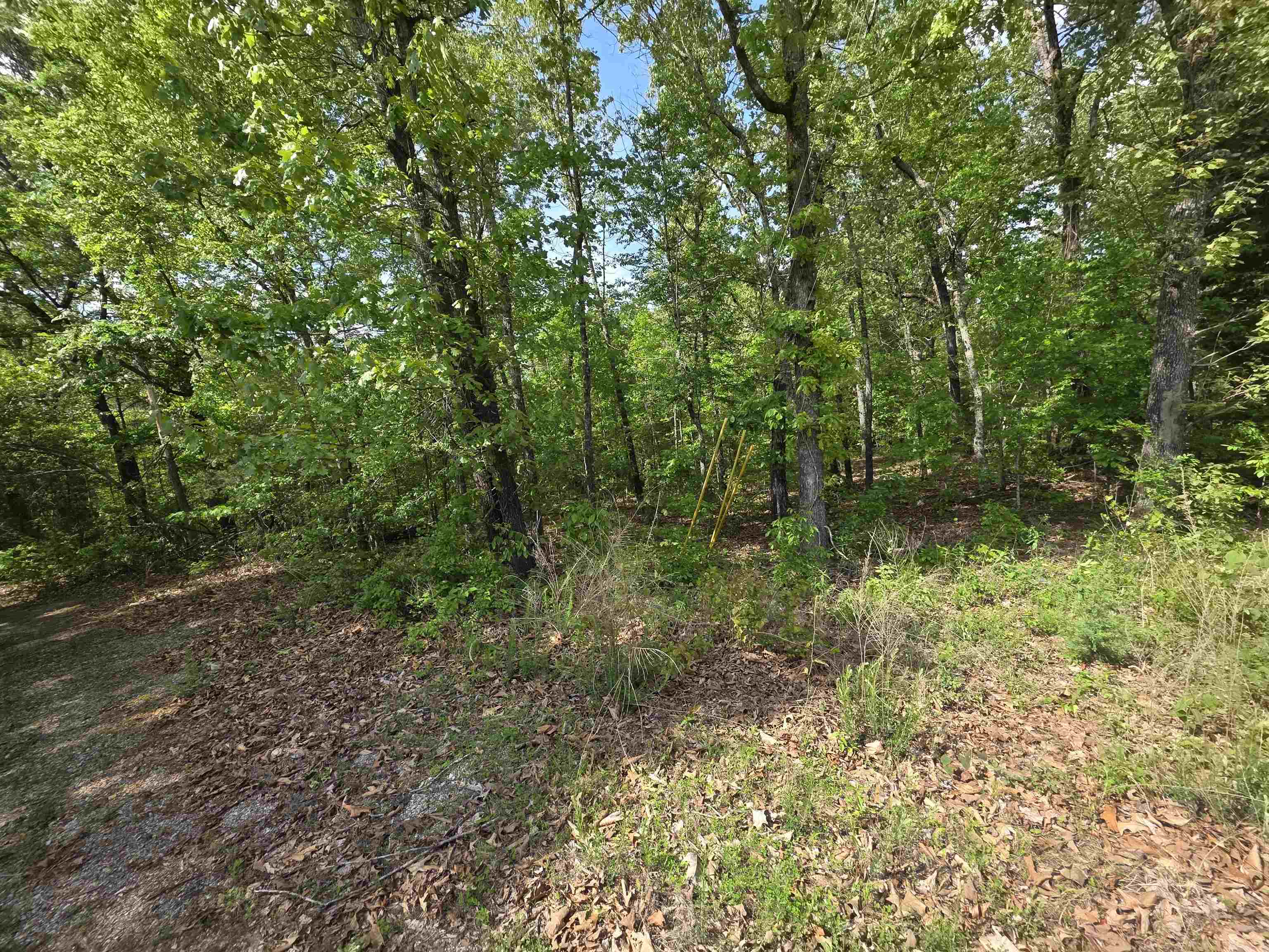 Multiple Wahoo, Wabash & Ora Trace Property Photo 38