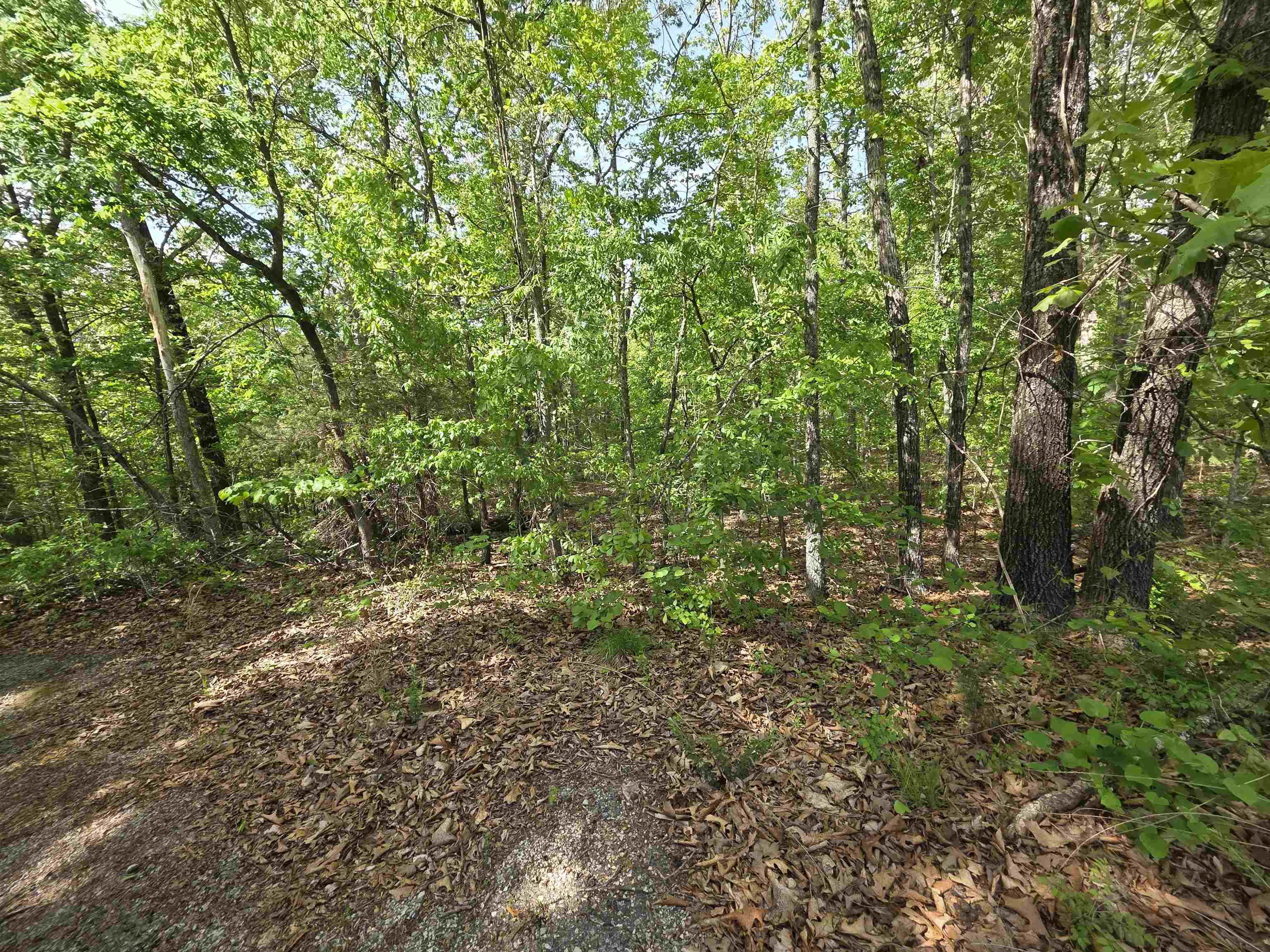 Multiple Wahoo, Wabash & Ora Trace Property Photo 39
