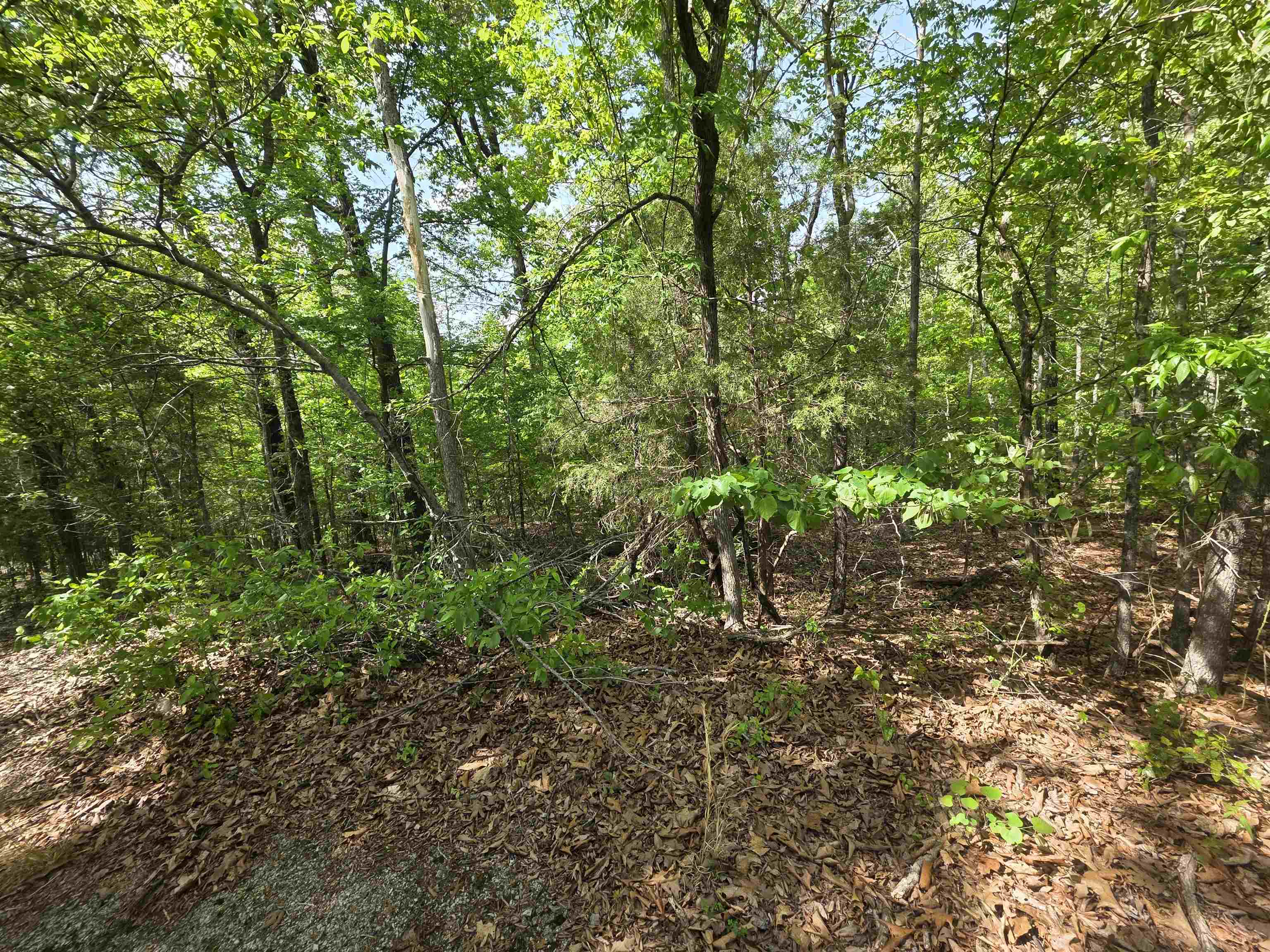Multiple Wahoo, Wabash & Ora Trace Property Photo 41