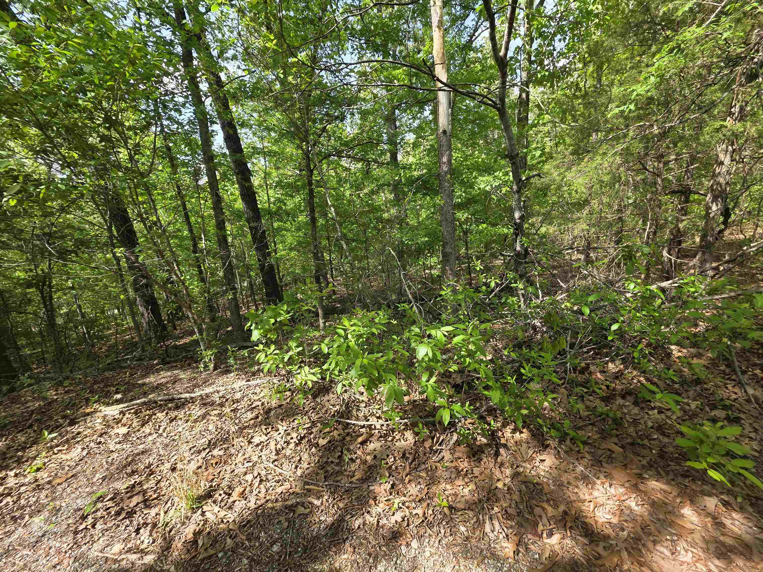 Multiple Wahoo, Wabash & Ora Trace Property Photo 43