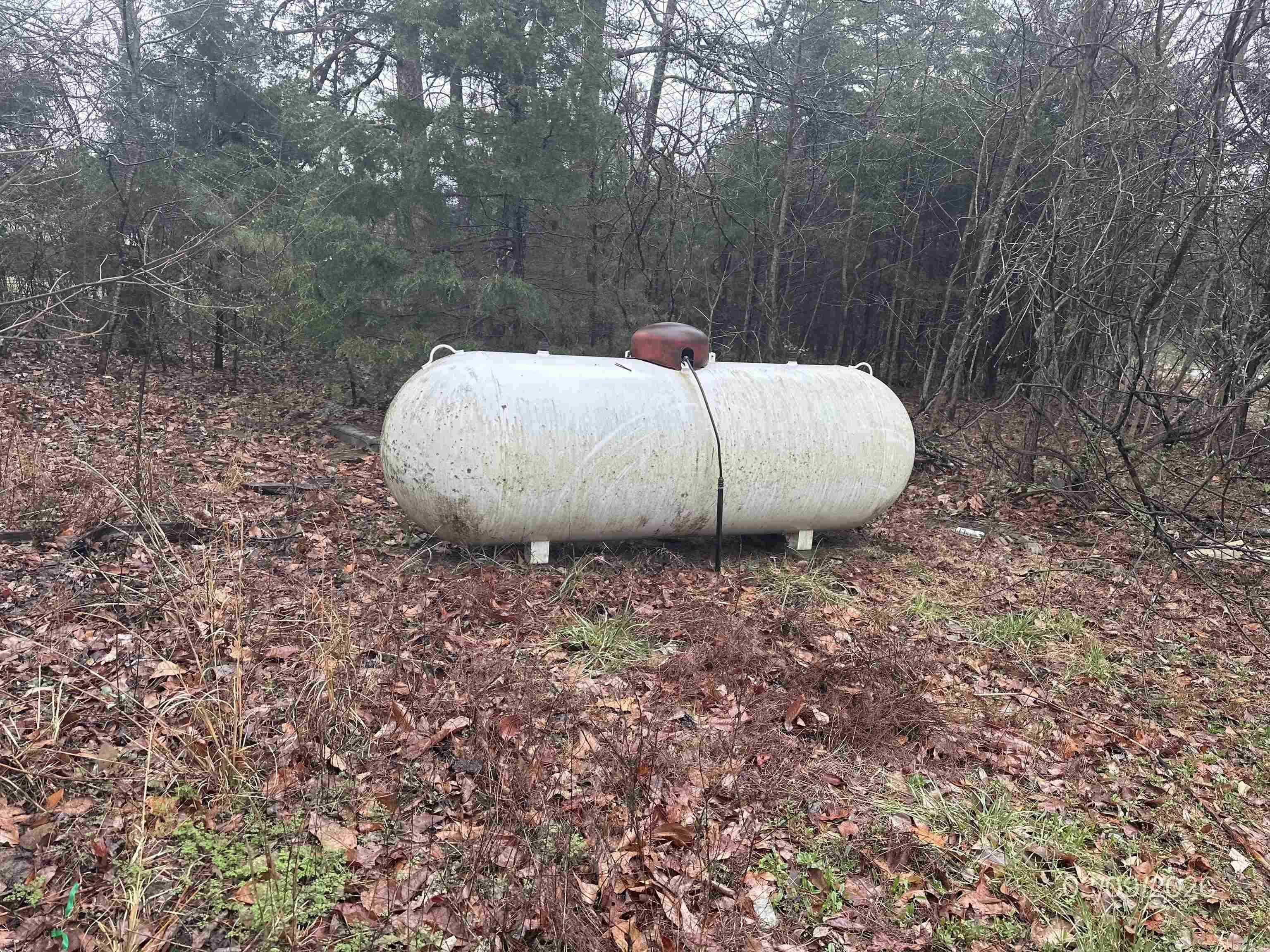 9081 Hwy 254 E Property Photo 15