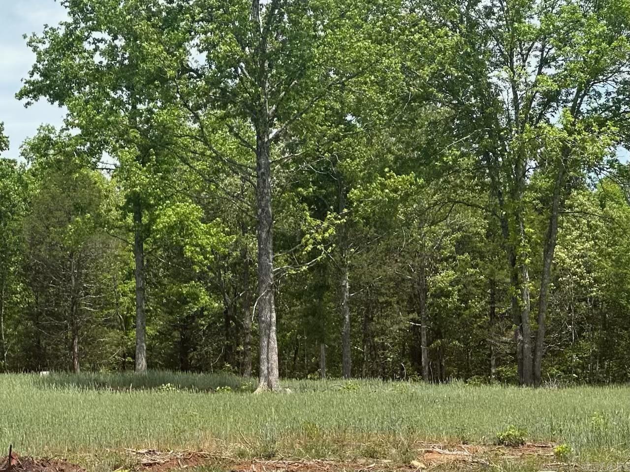 195 Old Springfield Dr Property Photo 32