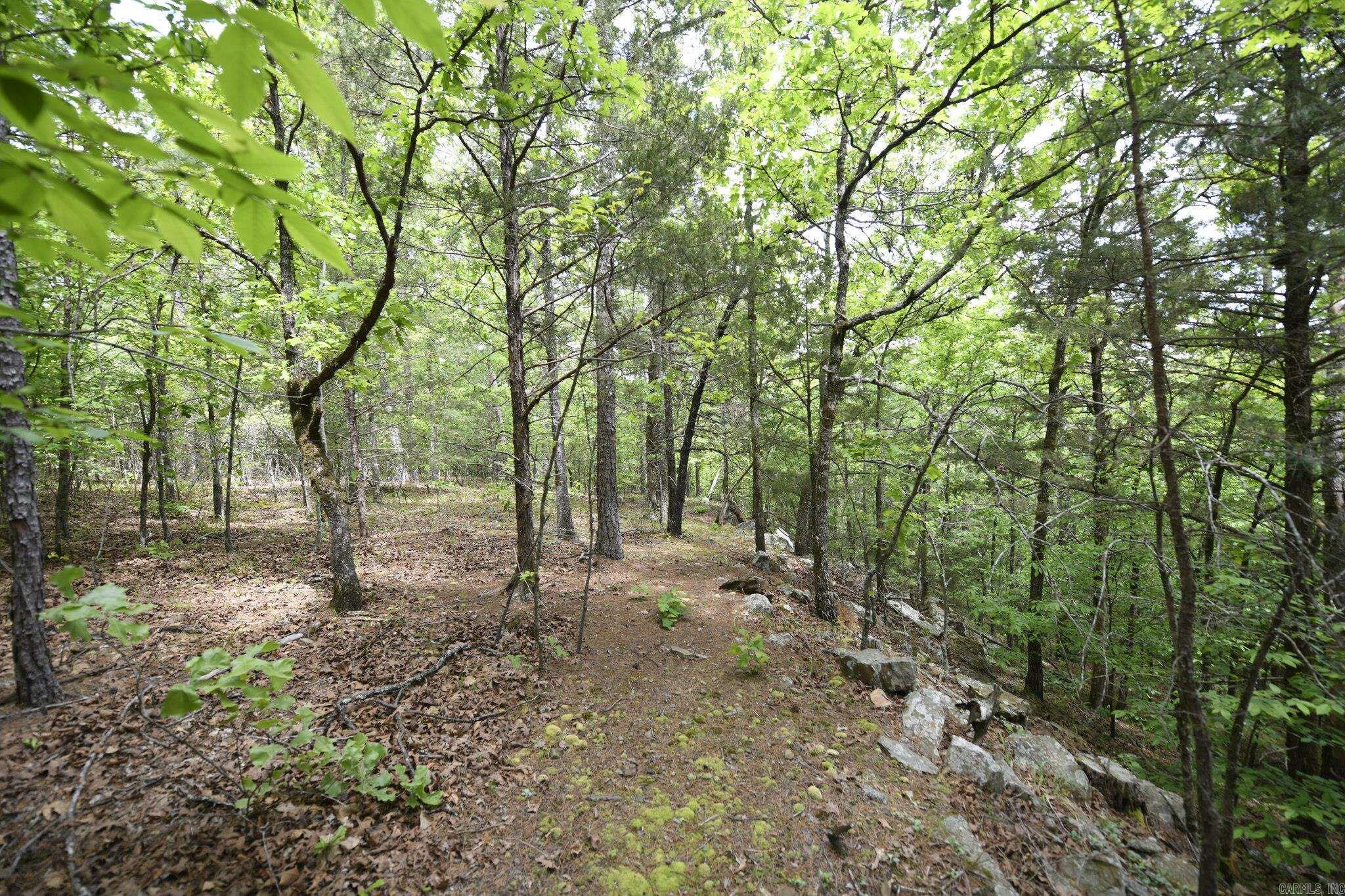 14369 Blackfork Drive Property Photo 28
