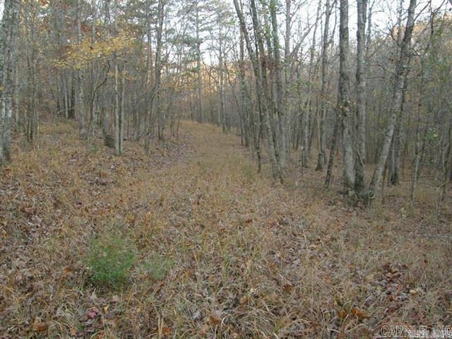 155 Shady Lane Property Photo 3