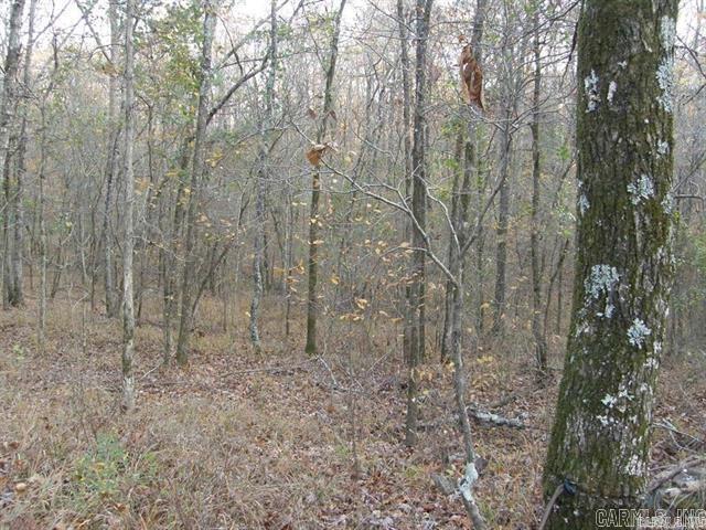 155 Shady Lane Property Photo 6
