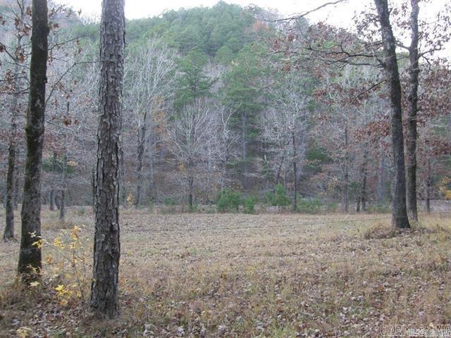 155 Shady Lane Property Photo 14