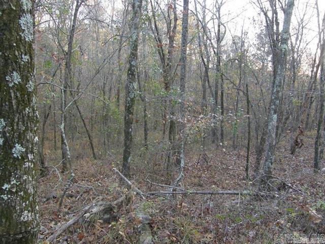 155 Shady Lane Property Photo 18