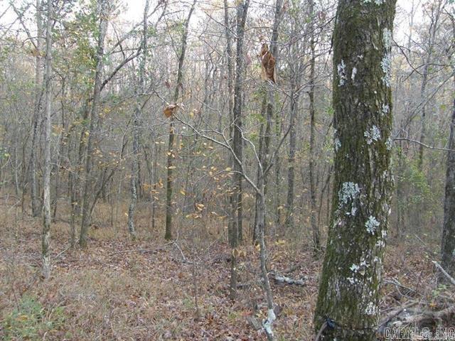 155 Shady Lane Property Photo 21