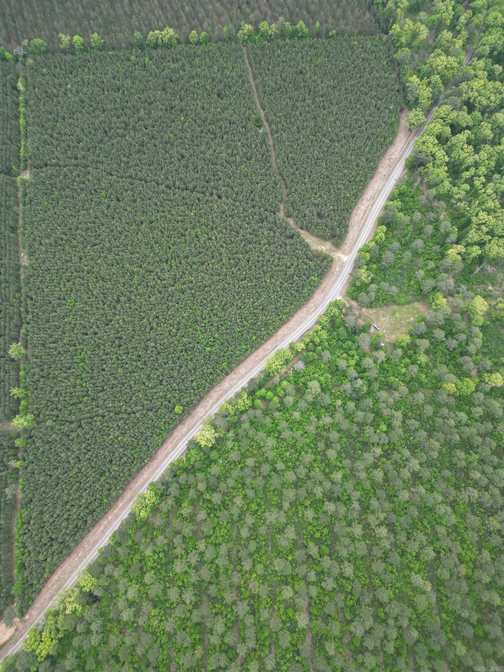 Parcel 2 Highway 172 Property Photo 4