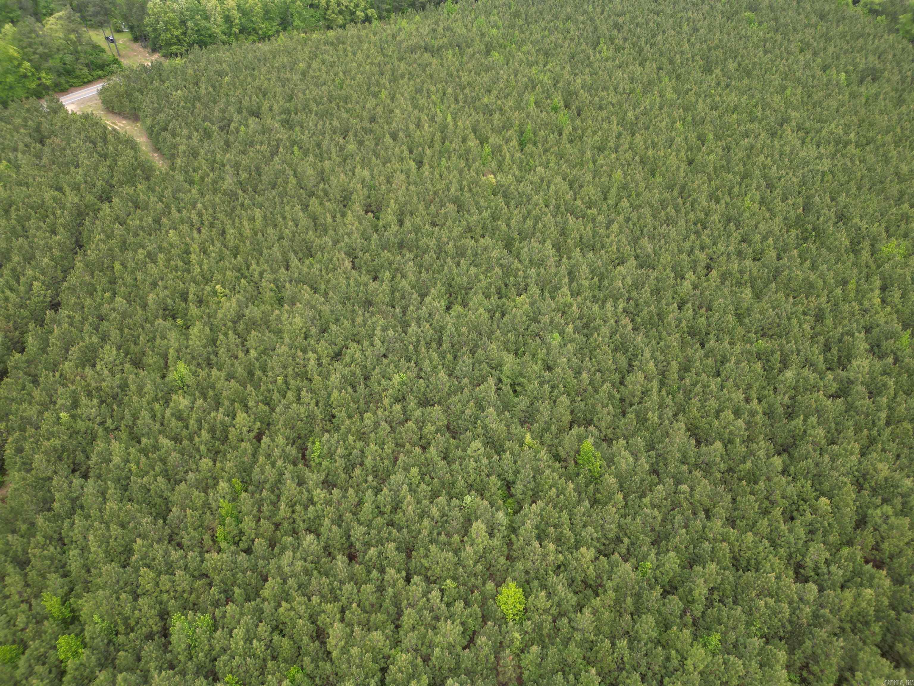 Parcel 2 Highway 172 Property Photo 5