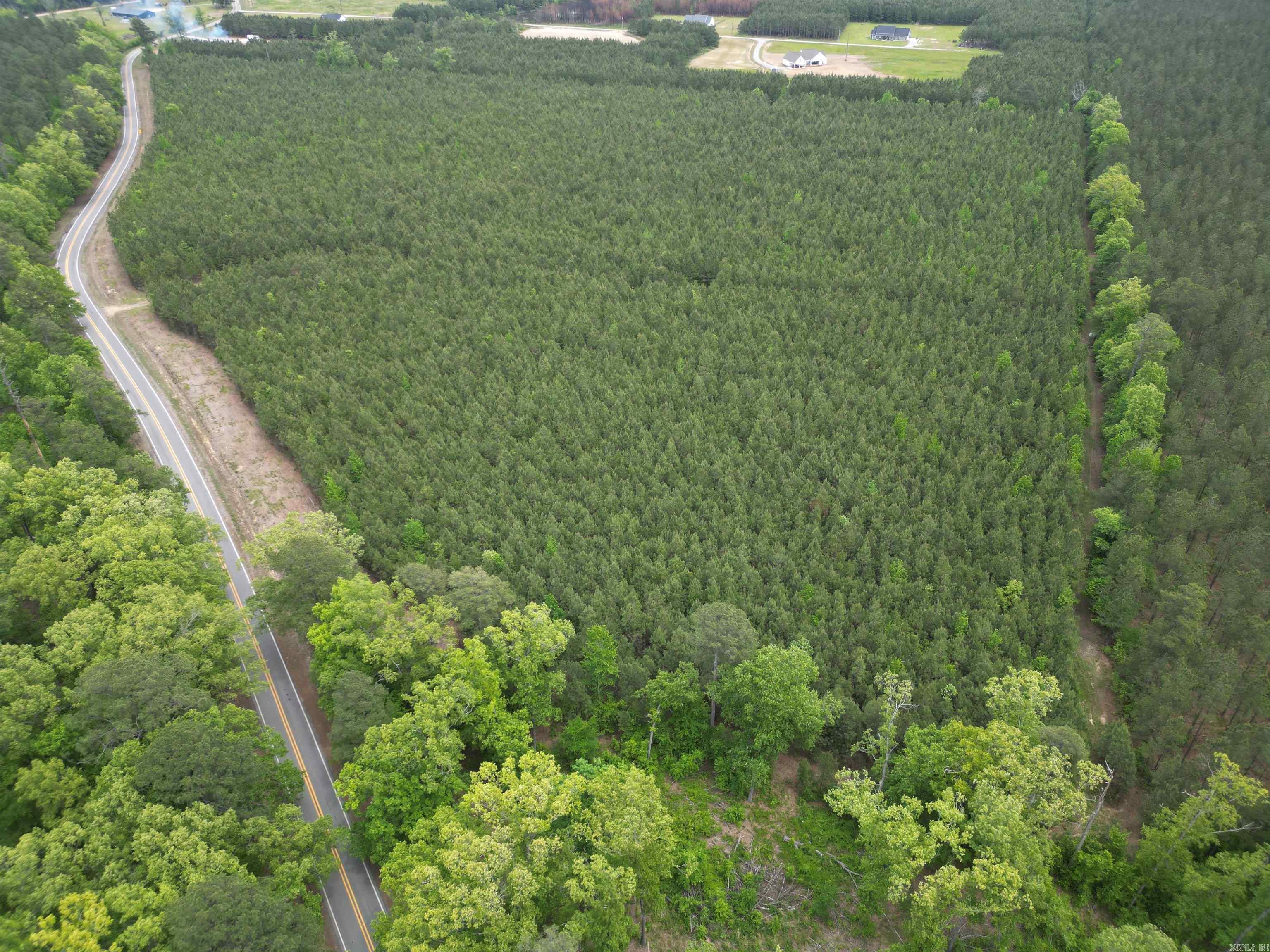 Parcel 2 Highway 172 Property Photo 6